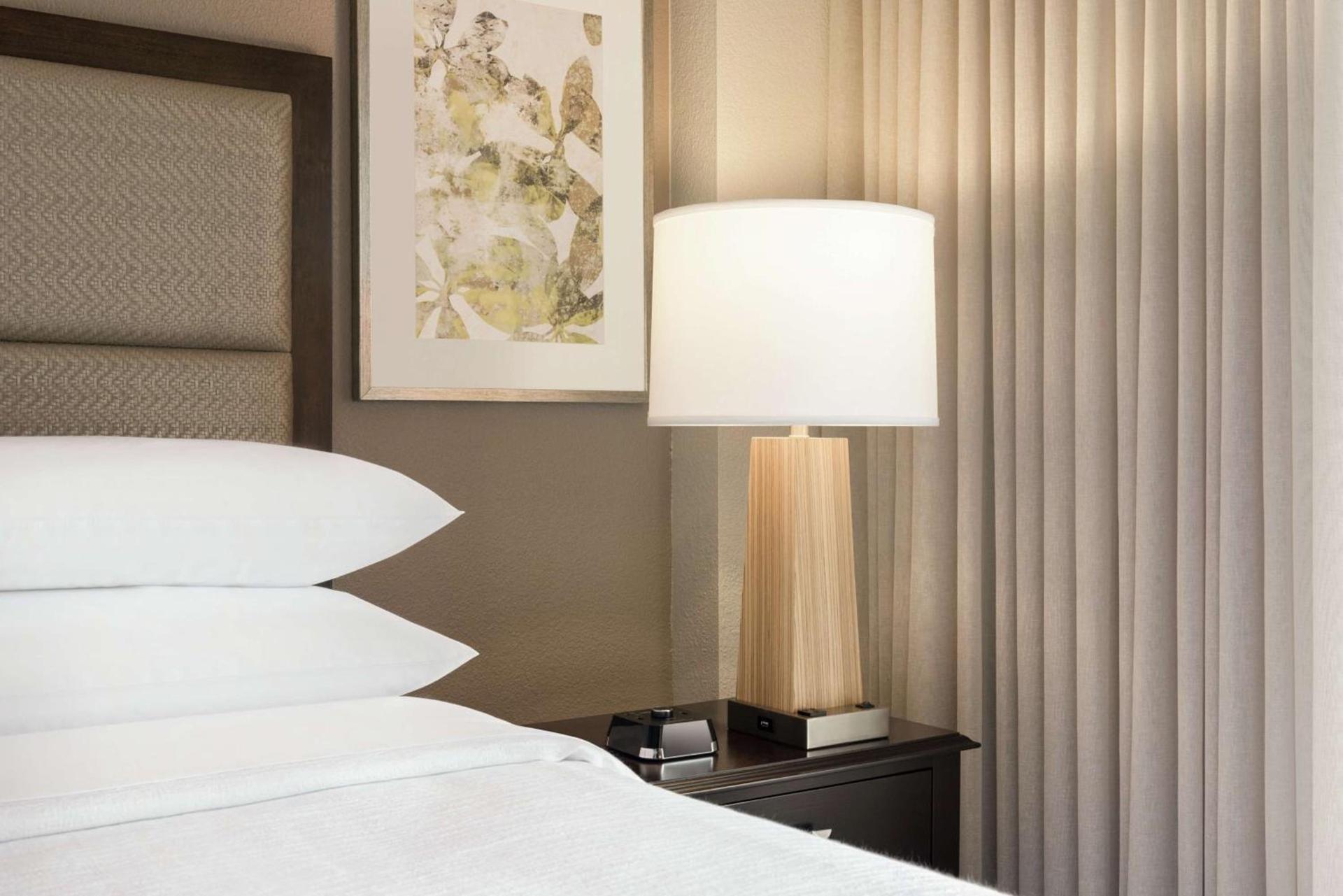 Embassy Suites by Hilton Atlanta Alpharetta photo 19