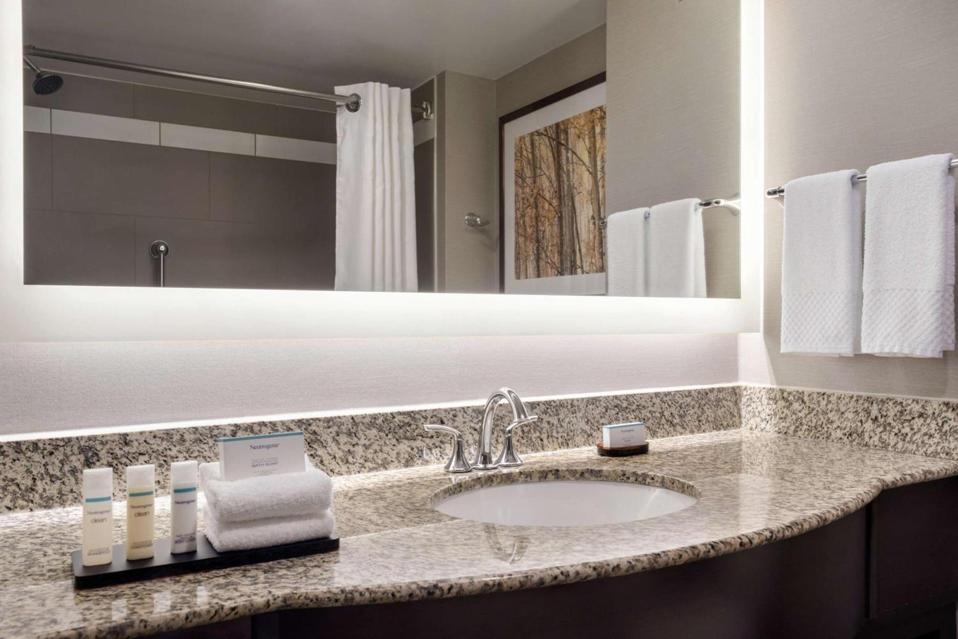 Embassy Suites by Hilton Atlanta Alpharetta photo 22