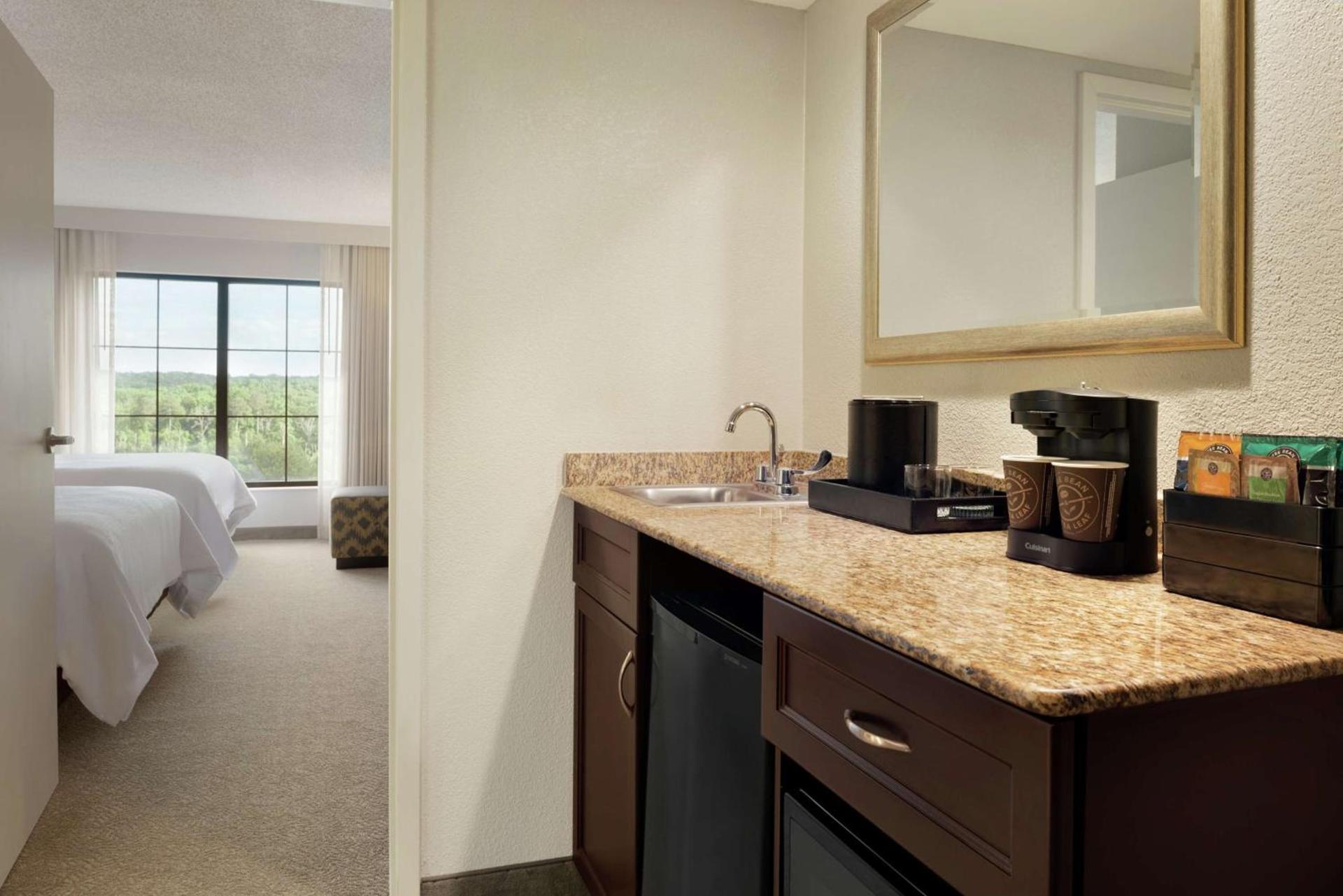 Embassy Suites by Hilton Atlanta Alpharetta photo 33