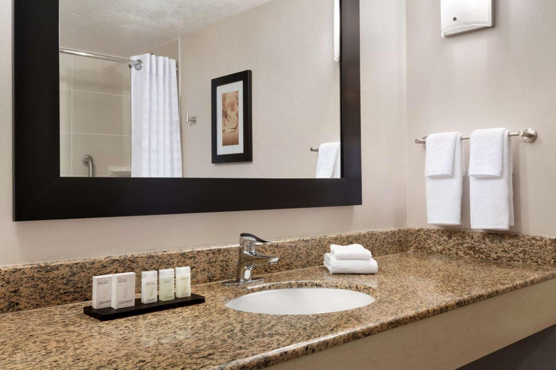 Embassy Suites by Hilton Convention Center Las Vegas photo 29