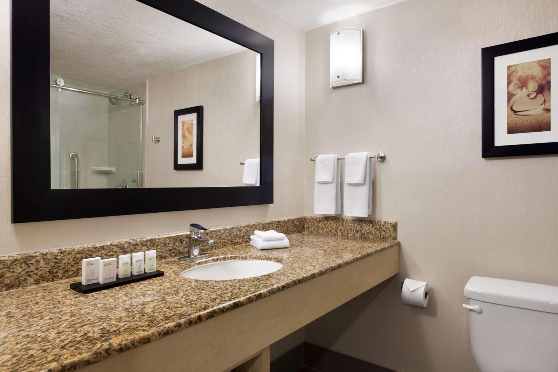 Embassy Suites by Hilton Convention Center Las Vegas photo 39
