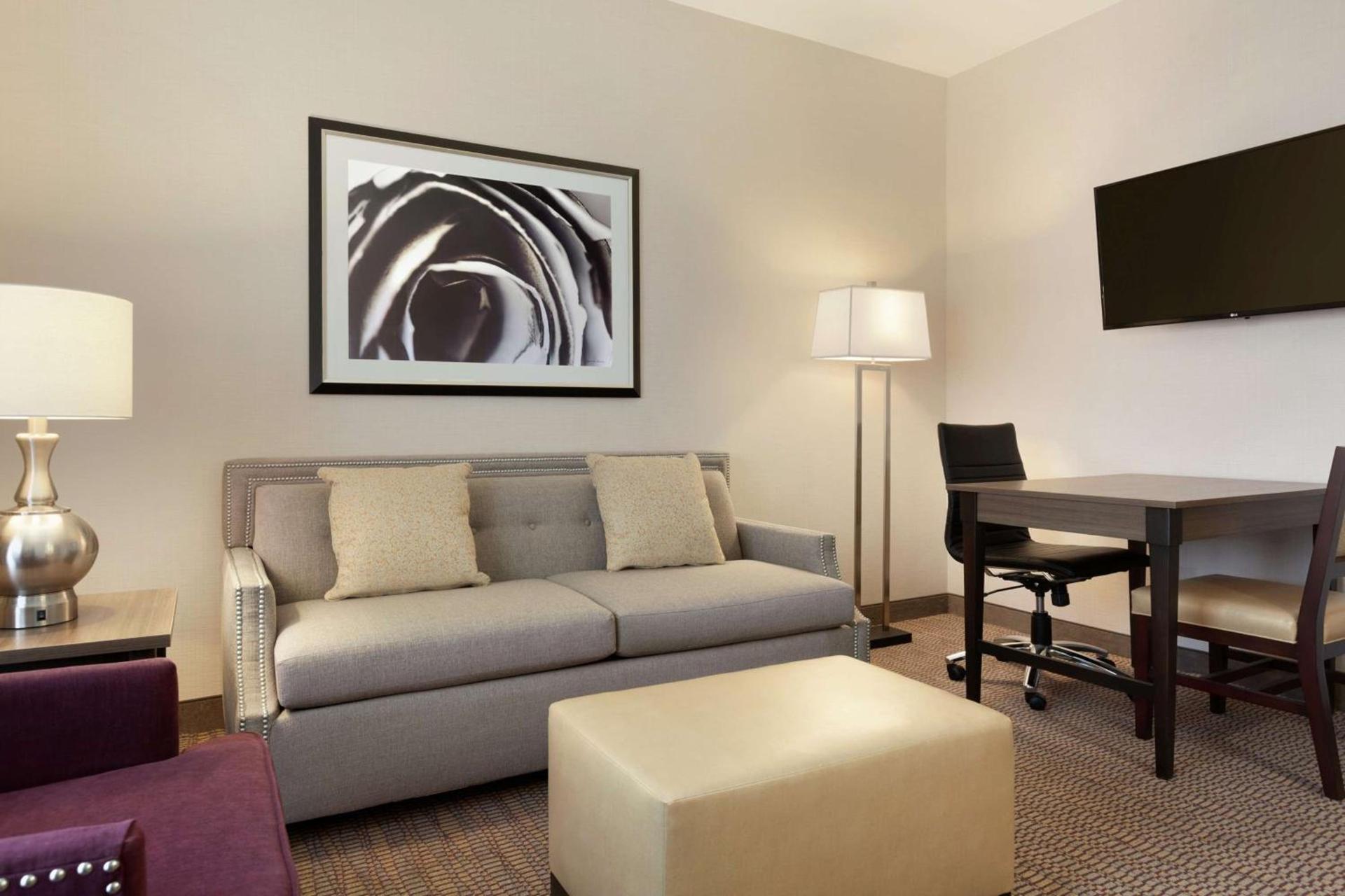 Embassy Suites by Hilton Temecula Valley Wine Country photo 14