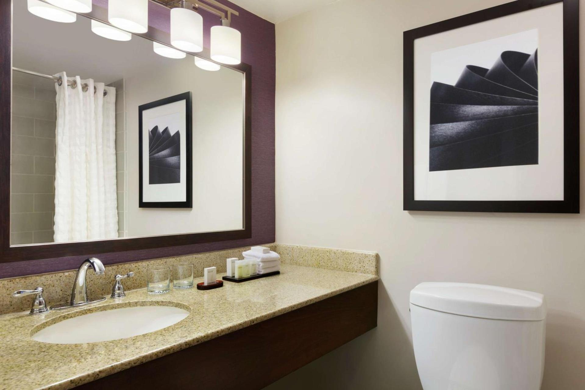 Embassy Suites by Hilton Santa Ana Orange County Airport photo 25