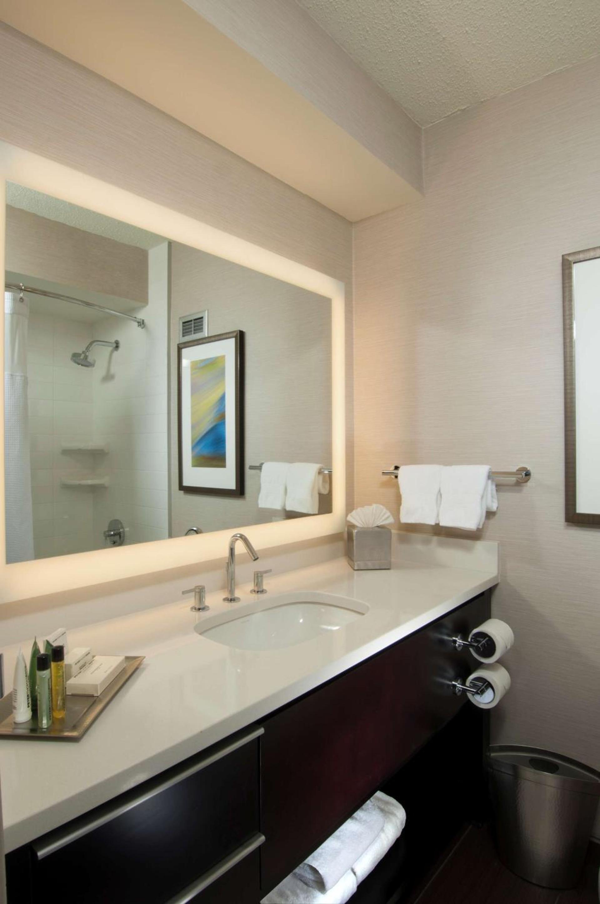 Hilton Albany photo 30