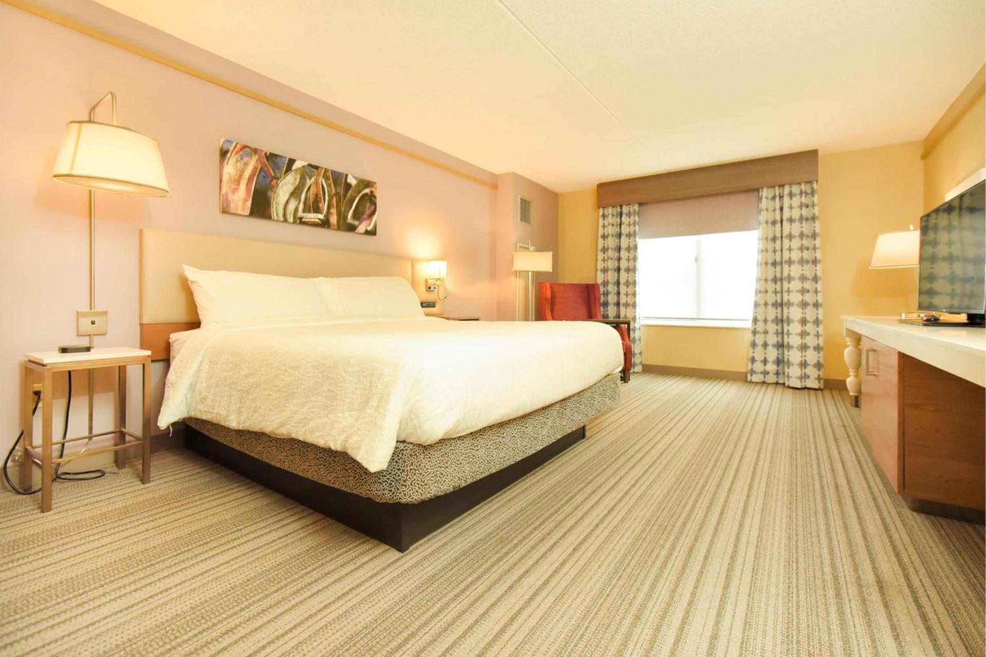 Hilton Garden Inn Saratoga Springs photo 47