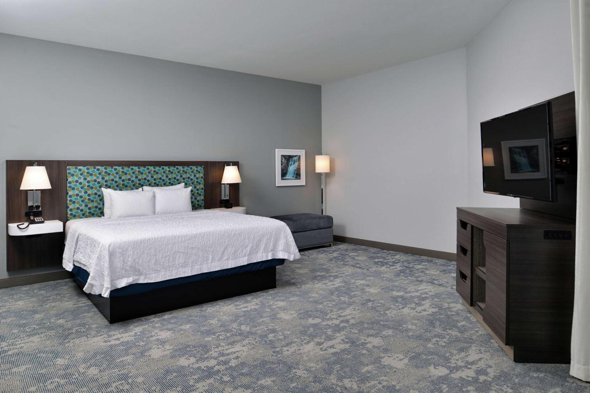 Hampton Inn Cedar Falls Downtown, Ia photo 67