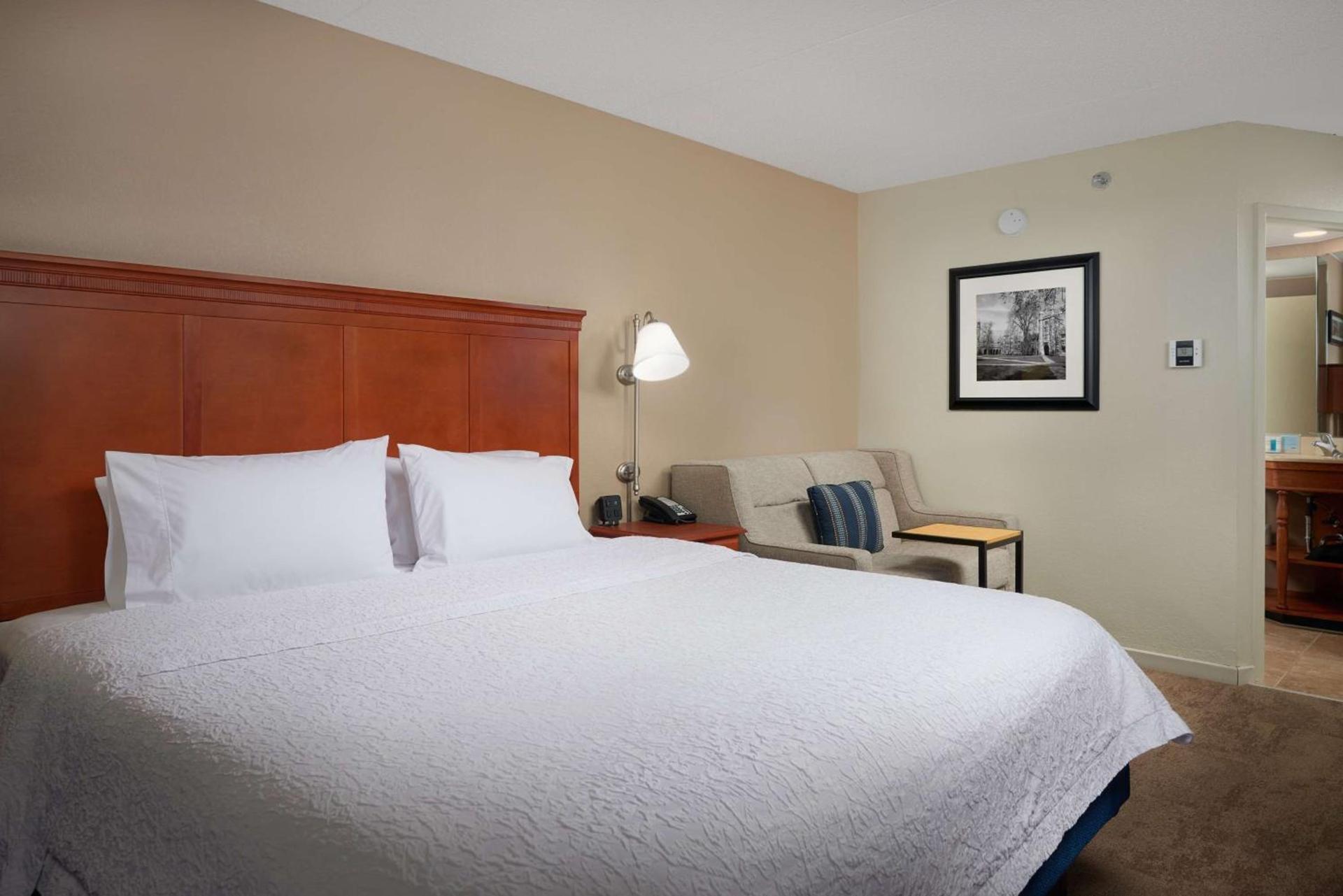 Hampton Inn Ann Arbor-South photo 21