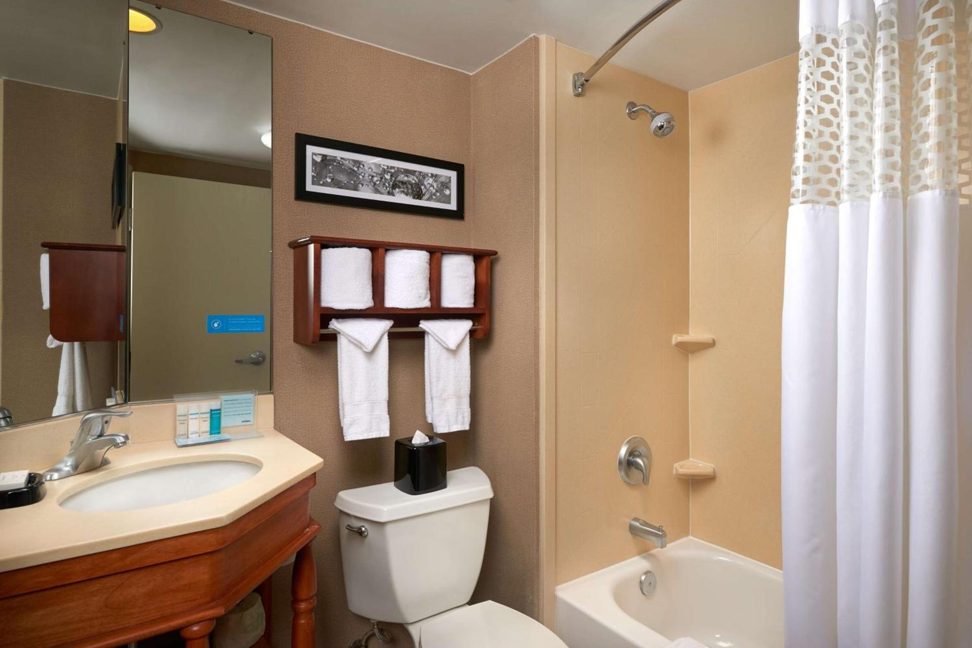 Hampton Inn Ann Arbor-South photo 36