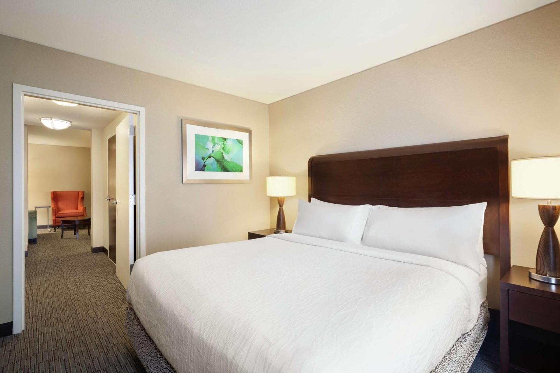 Hilton Garden Inn Atlanta Downtown photo 30