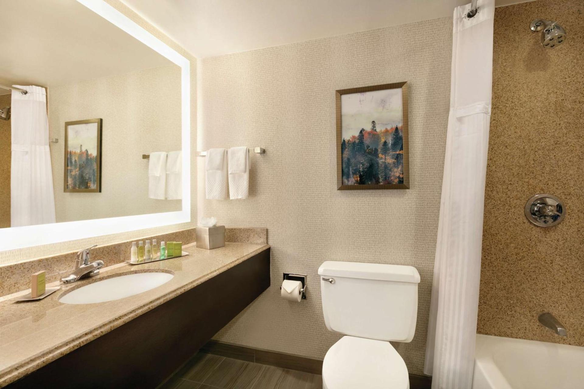 DoubleTree by Hilton Atlanta Northeast/Northlake photo 19