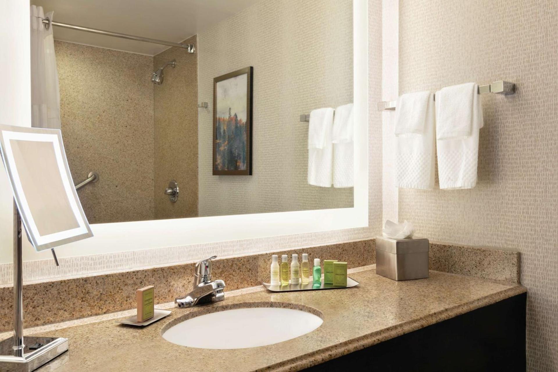DoubleTree by Hilton Atlanta Northeast/Northlake photo 29