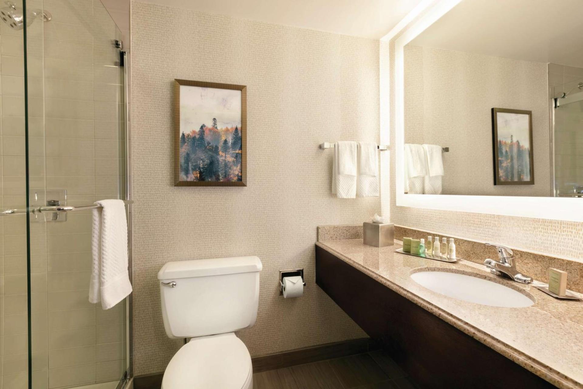 DoubleTree by Hilton Atlanta Northeast/Northlake photo 33