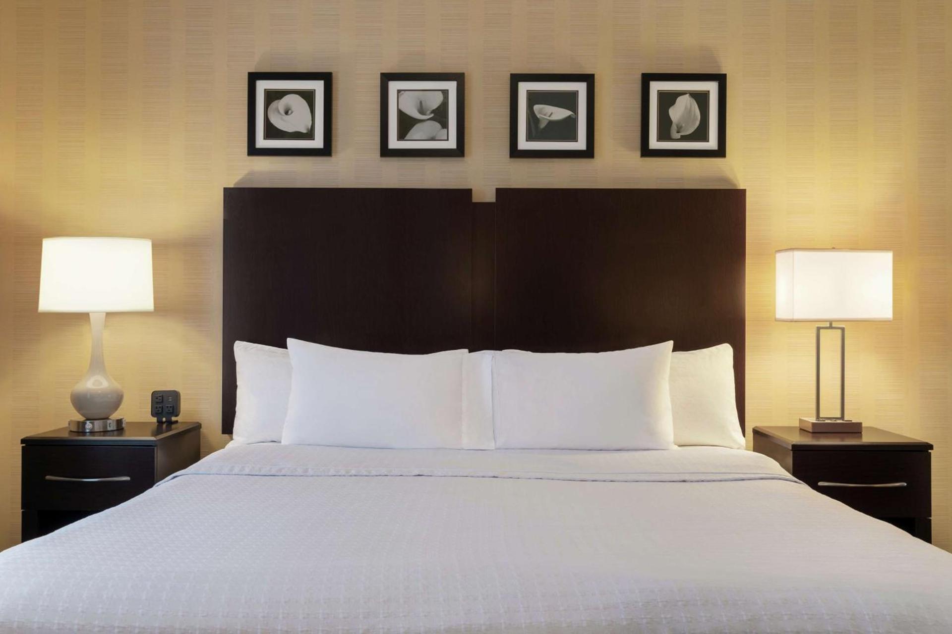 Homewood Suites by Hilton Newtown - Langhorne, PA photo 19
