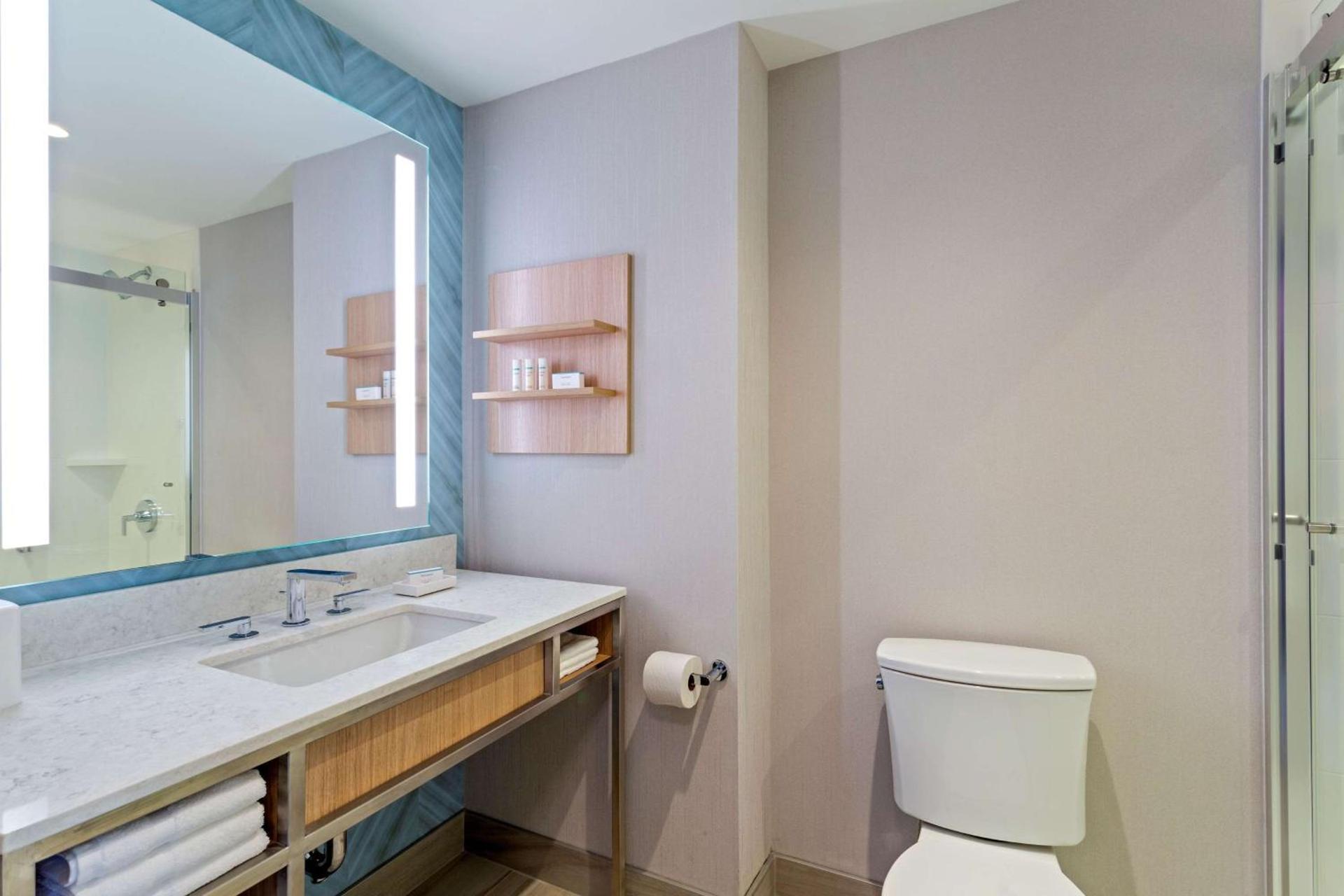 Hilton Garden Inn Boston Brookline, Ma photo 37