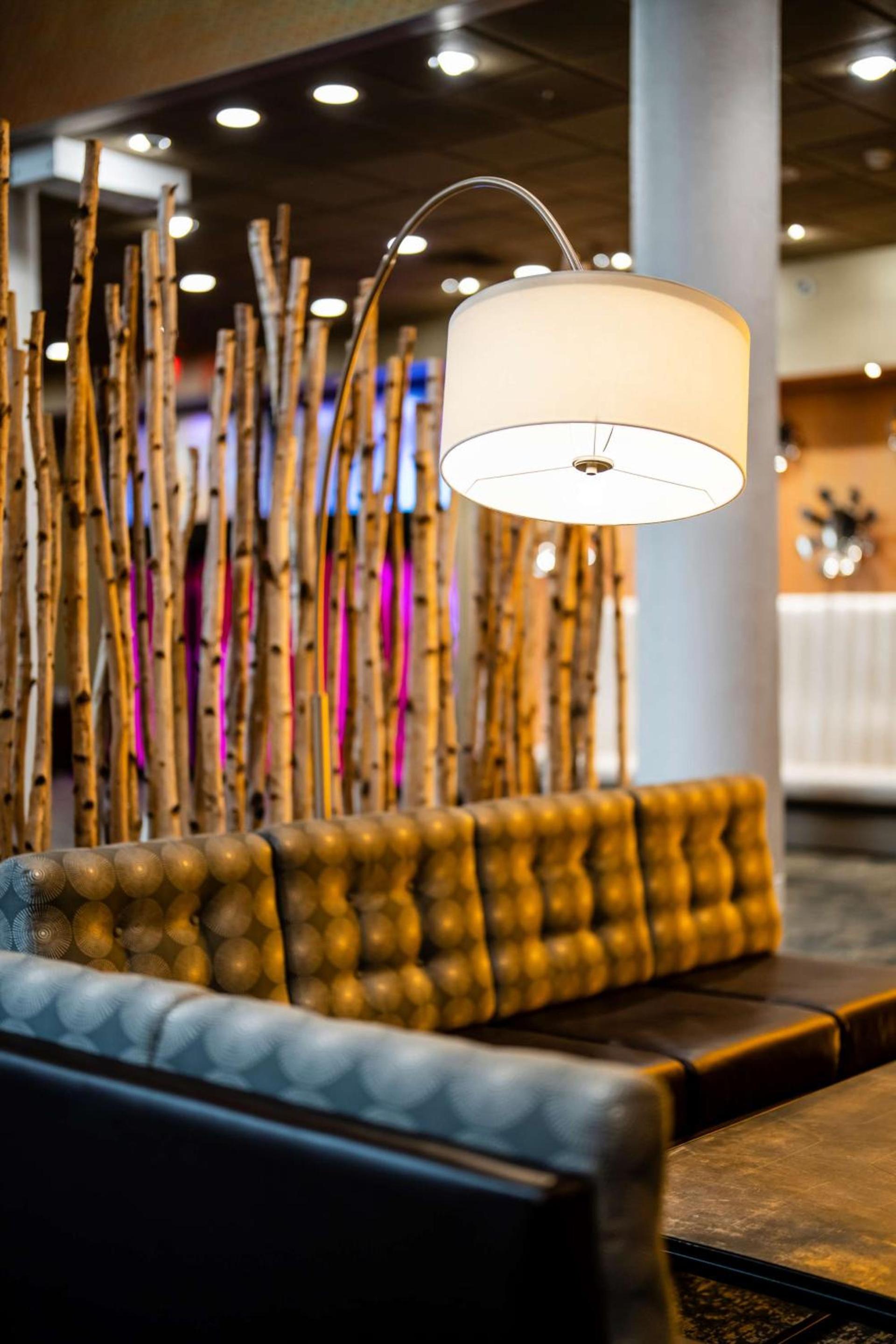 The Verve Boston Natick, Tapestry Collection by Hilton photo 65