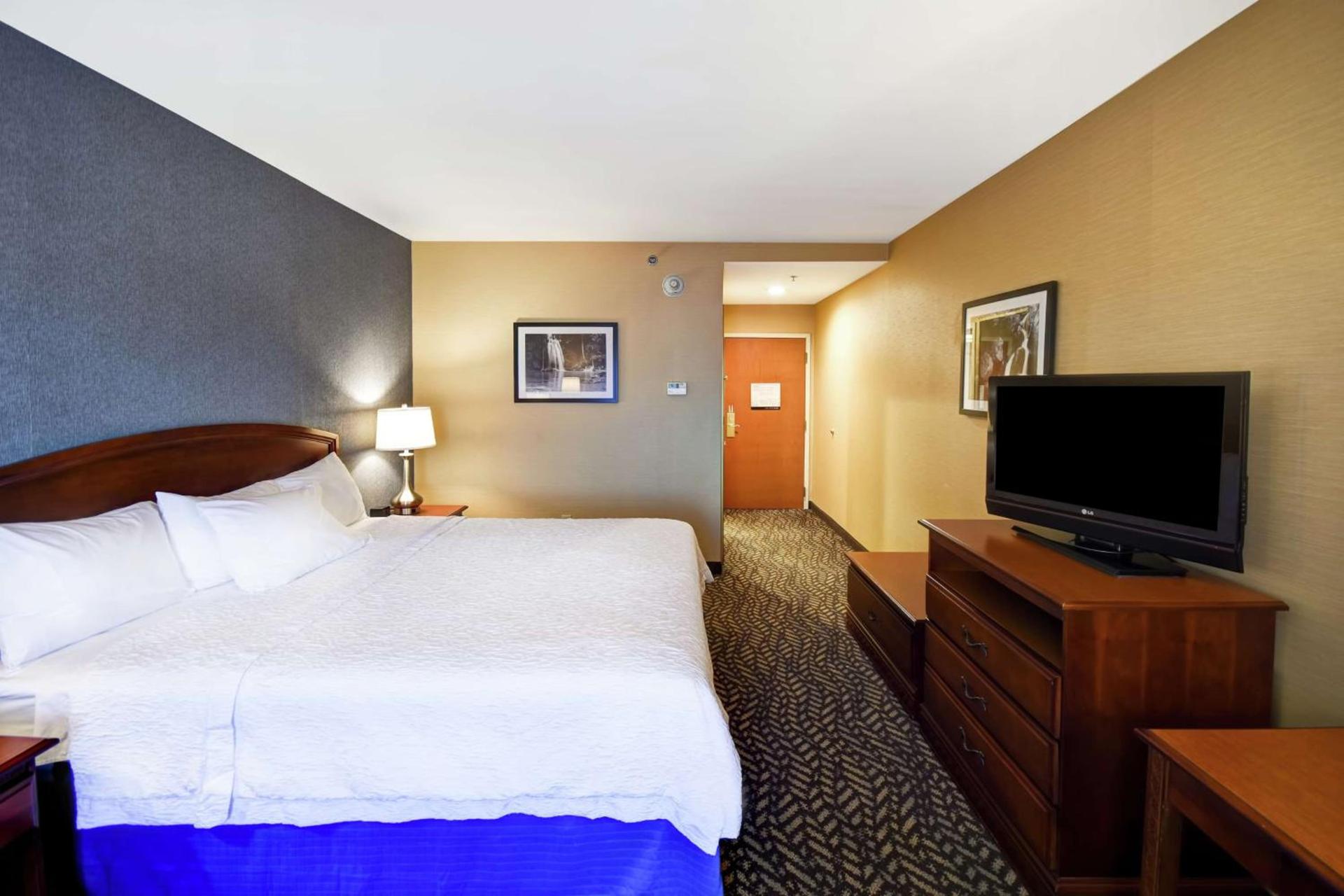 Hampton Inn Chicopee - Springfield photo 23