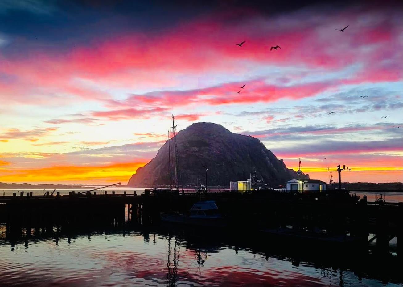 Morro Bay Beach Inn - Morro Bay photo 2