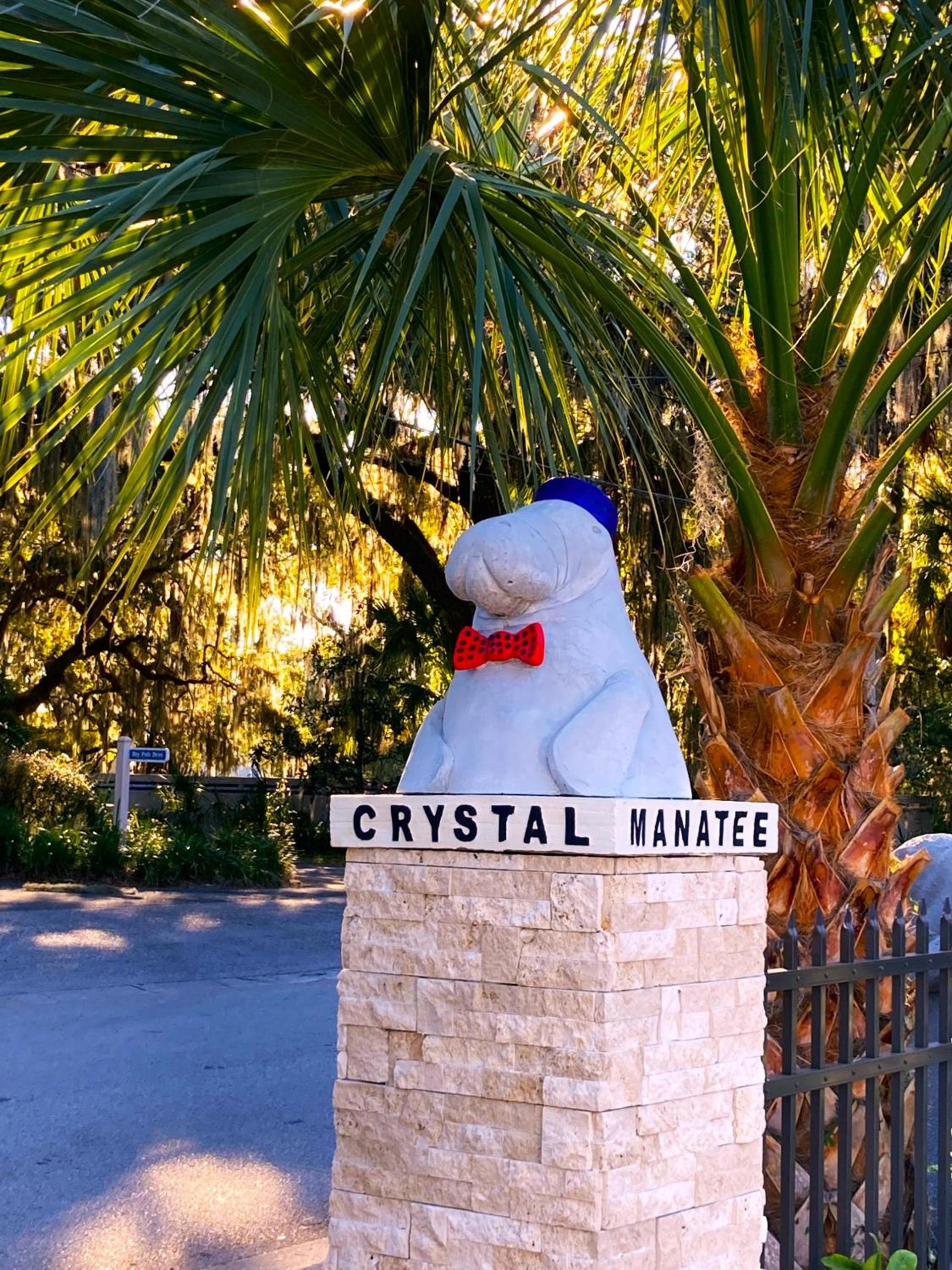 Retreat at Crystal Manatee photo 11