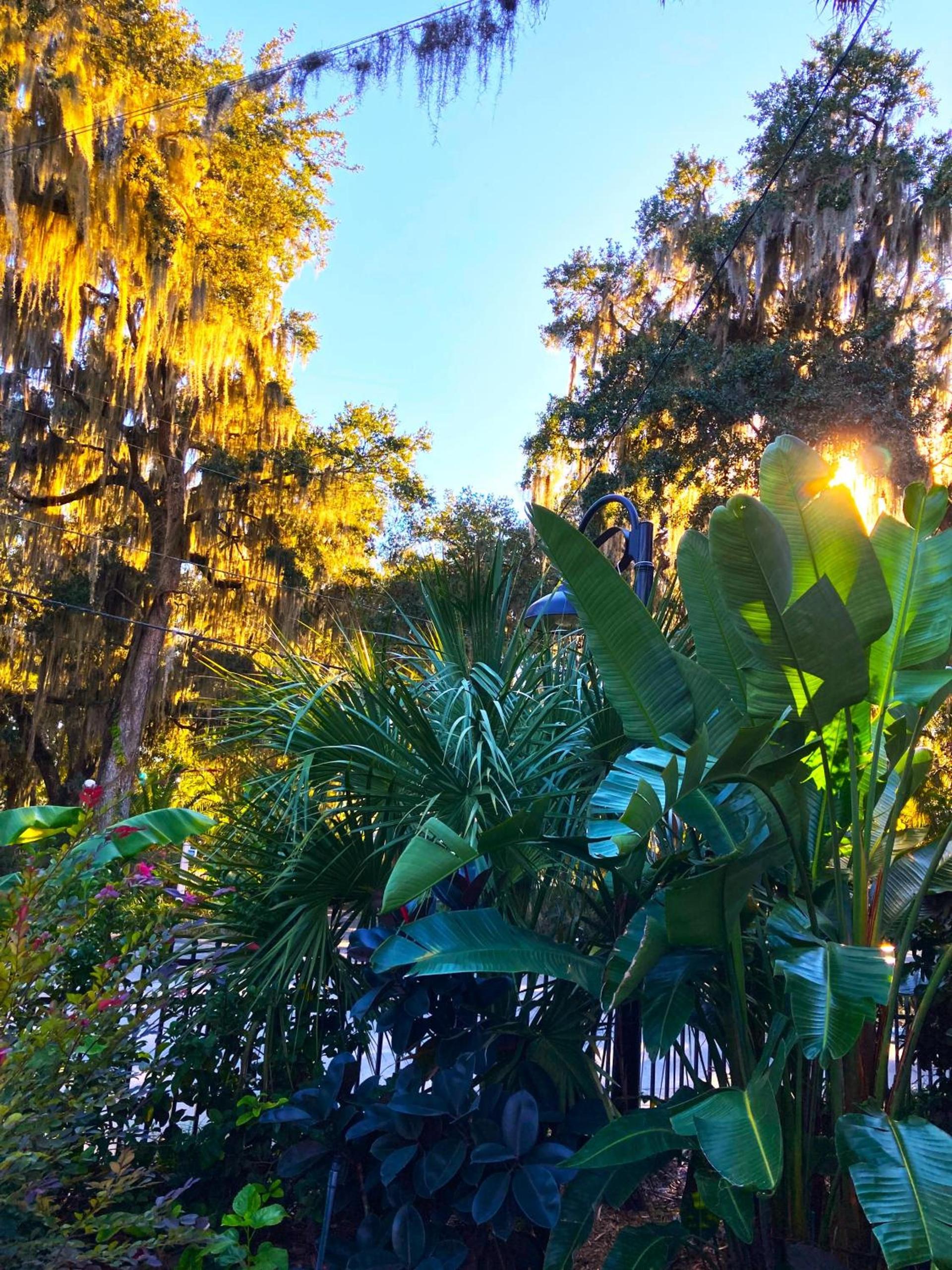 Retreat at Crystal Manatee photo 35