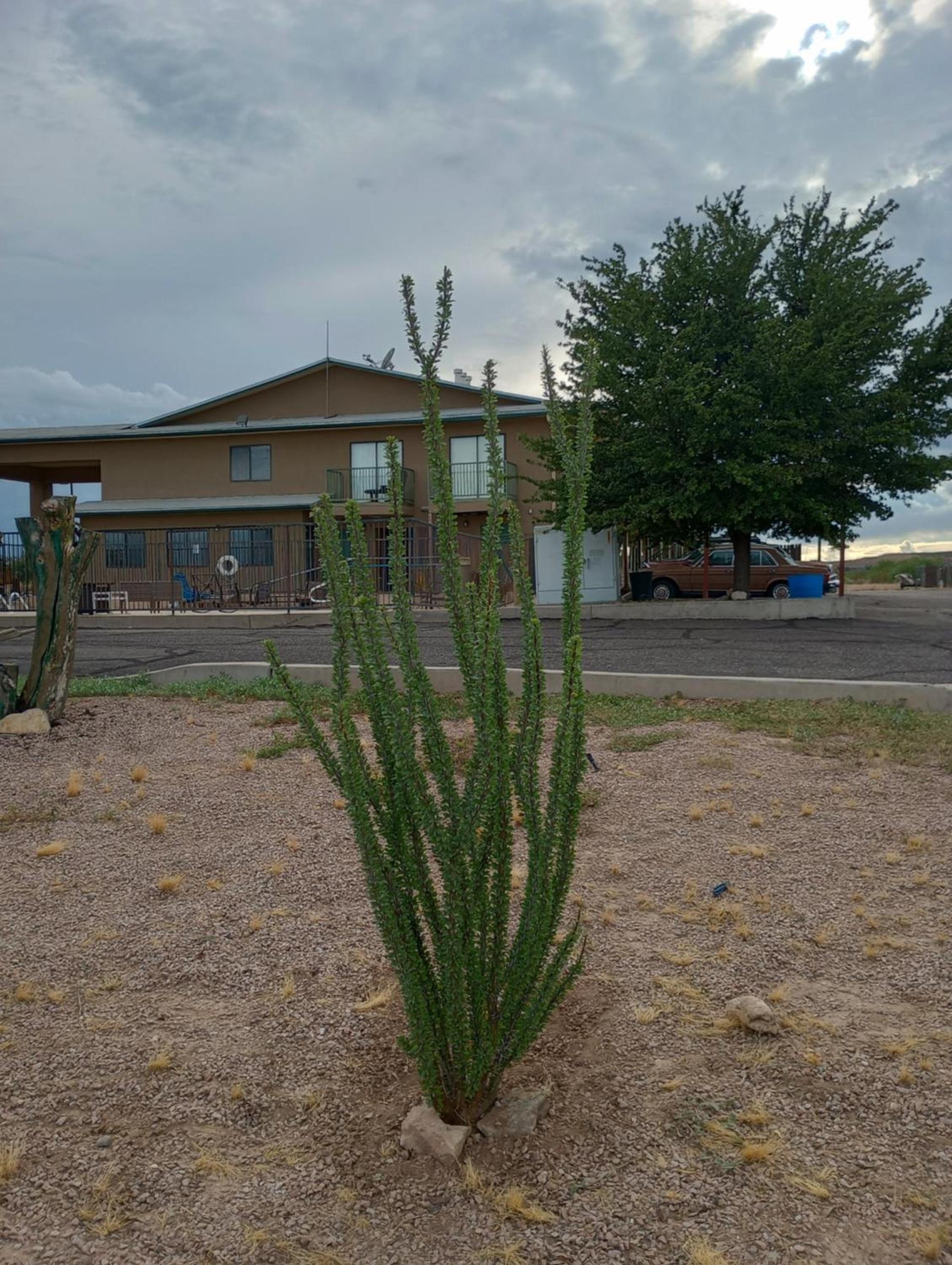 COPPER STAY INN Benson AZ I-10 Exit 304 photo 29