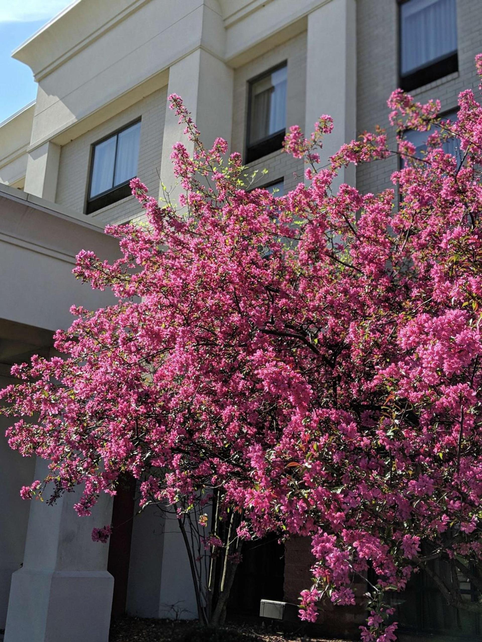 Hampton Inn & Suites Cincinnati-Union Centre — hotel in West Chester