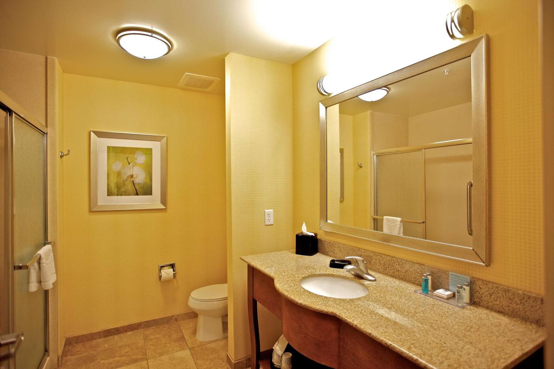Hampton Inn Ringgold-Ft. Oglethorpe photo 19