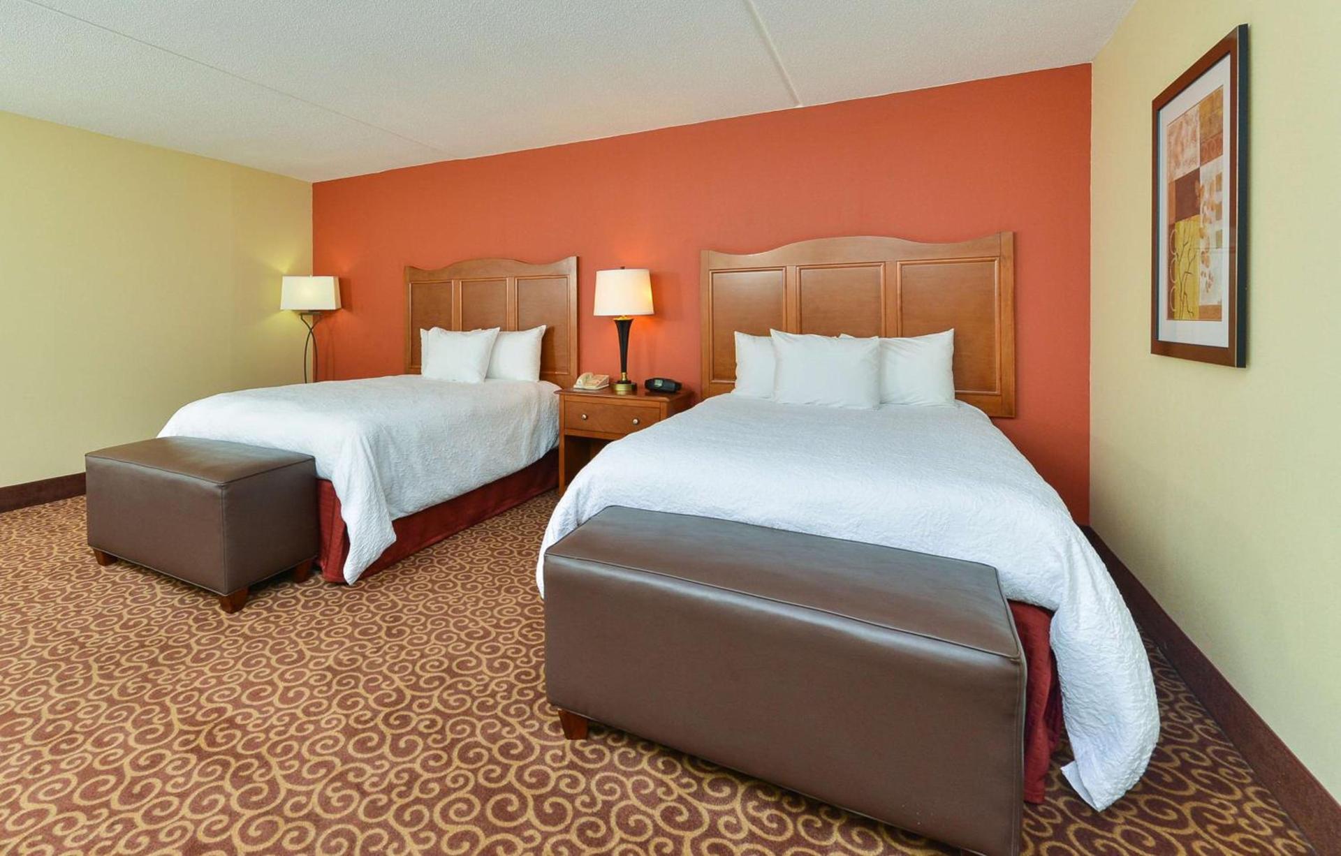 Hampton Inn Chicago-Carol Stream photo 12