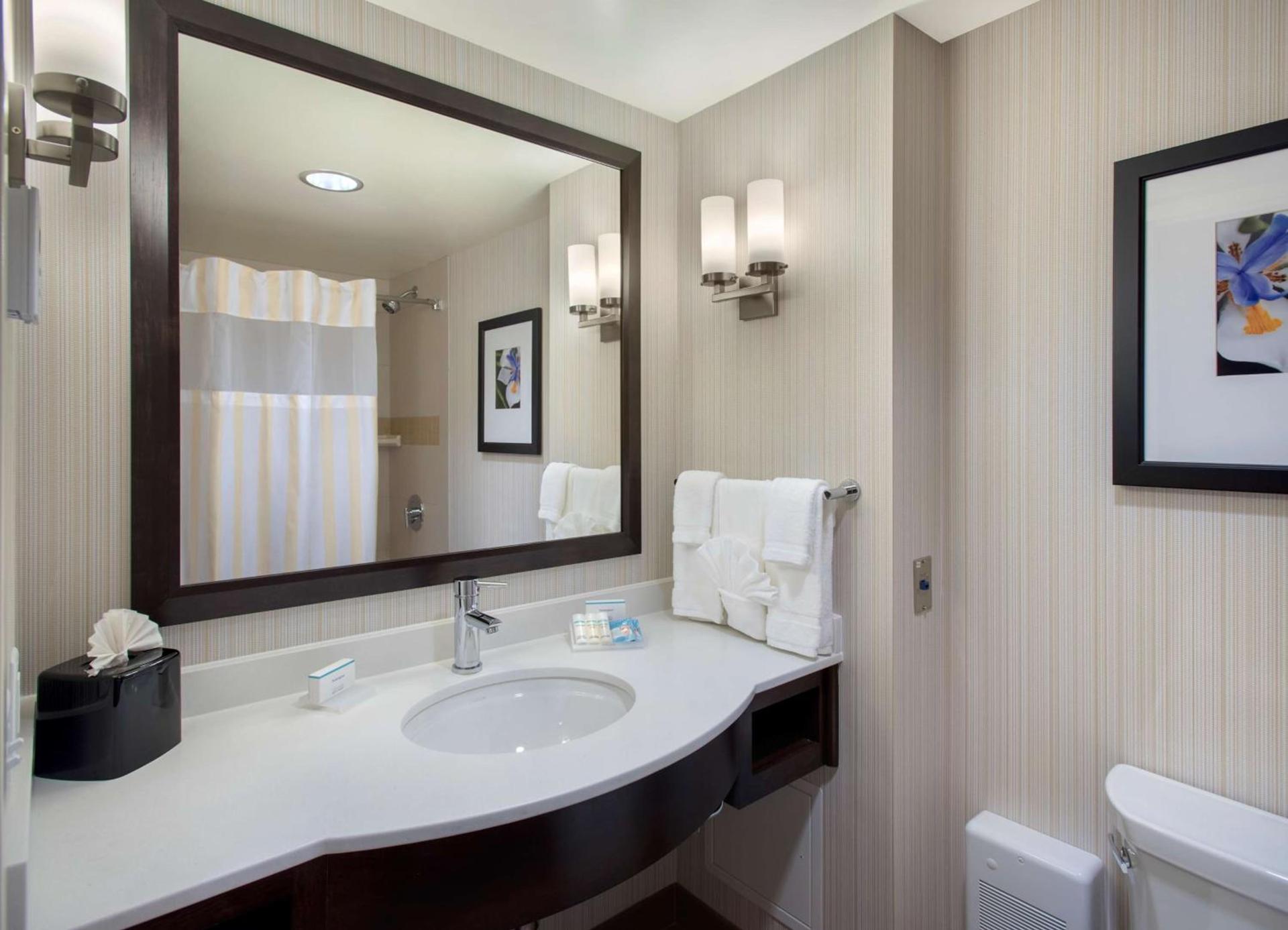 Hilton Garden Inn Chicago Downtown Riverwalk photo 13