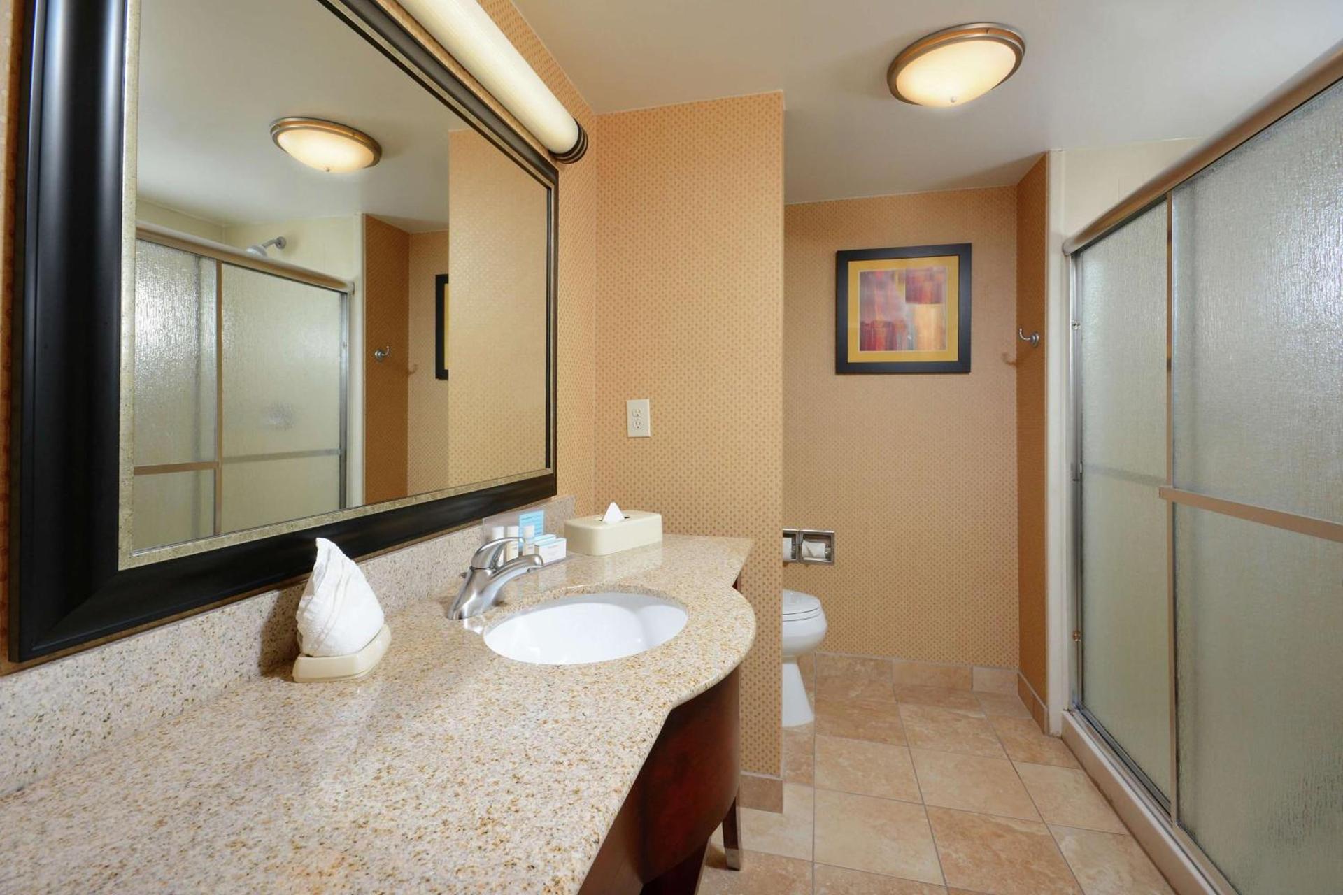Hampton Inn & Suites Huntersville photo 16