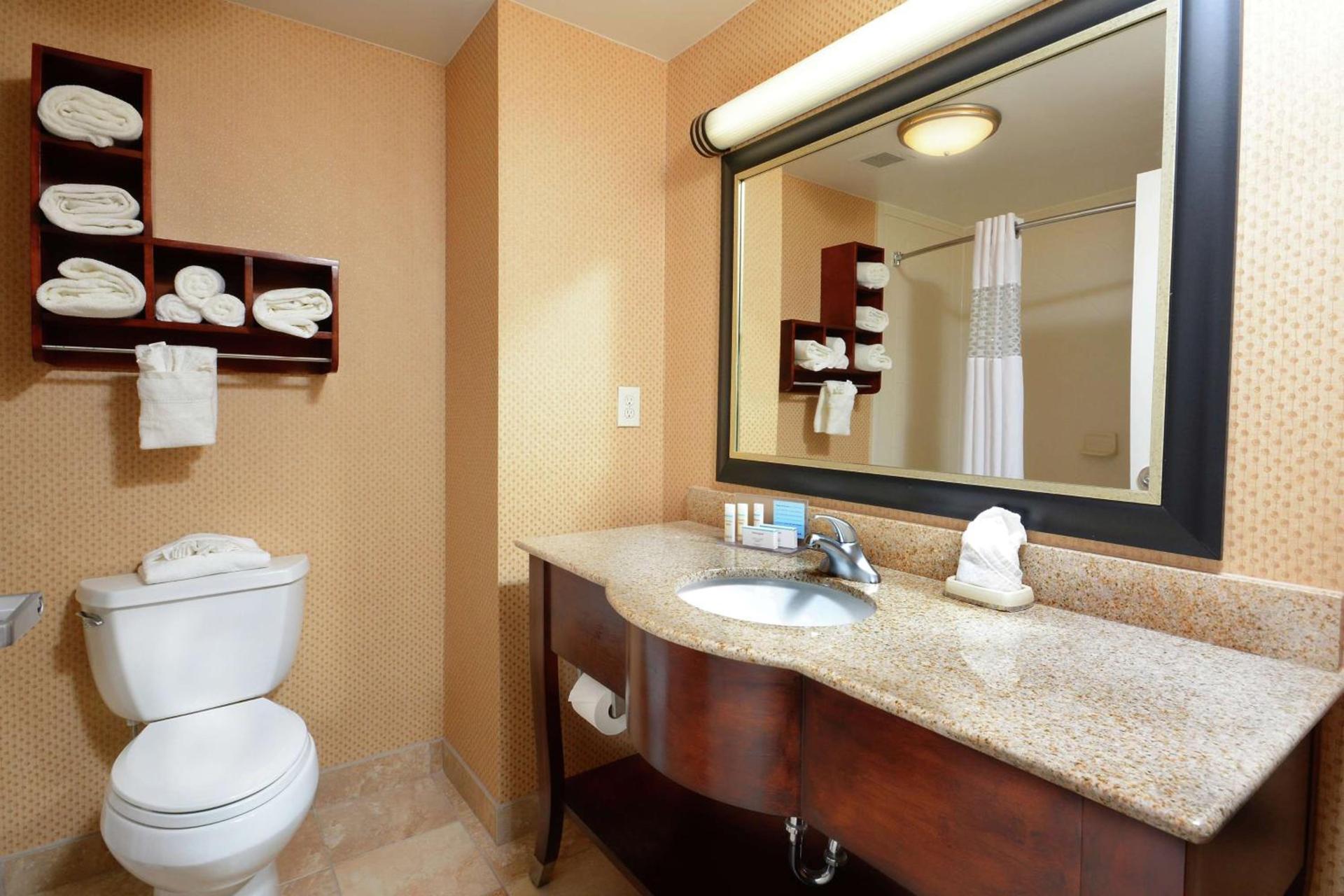 Hampton Inn & Suites Huntersville photo 21