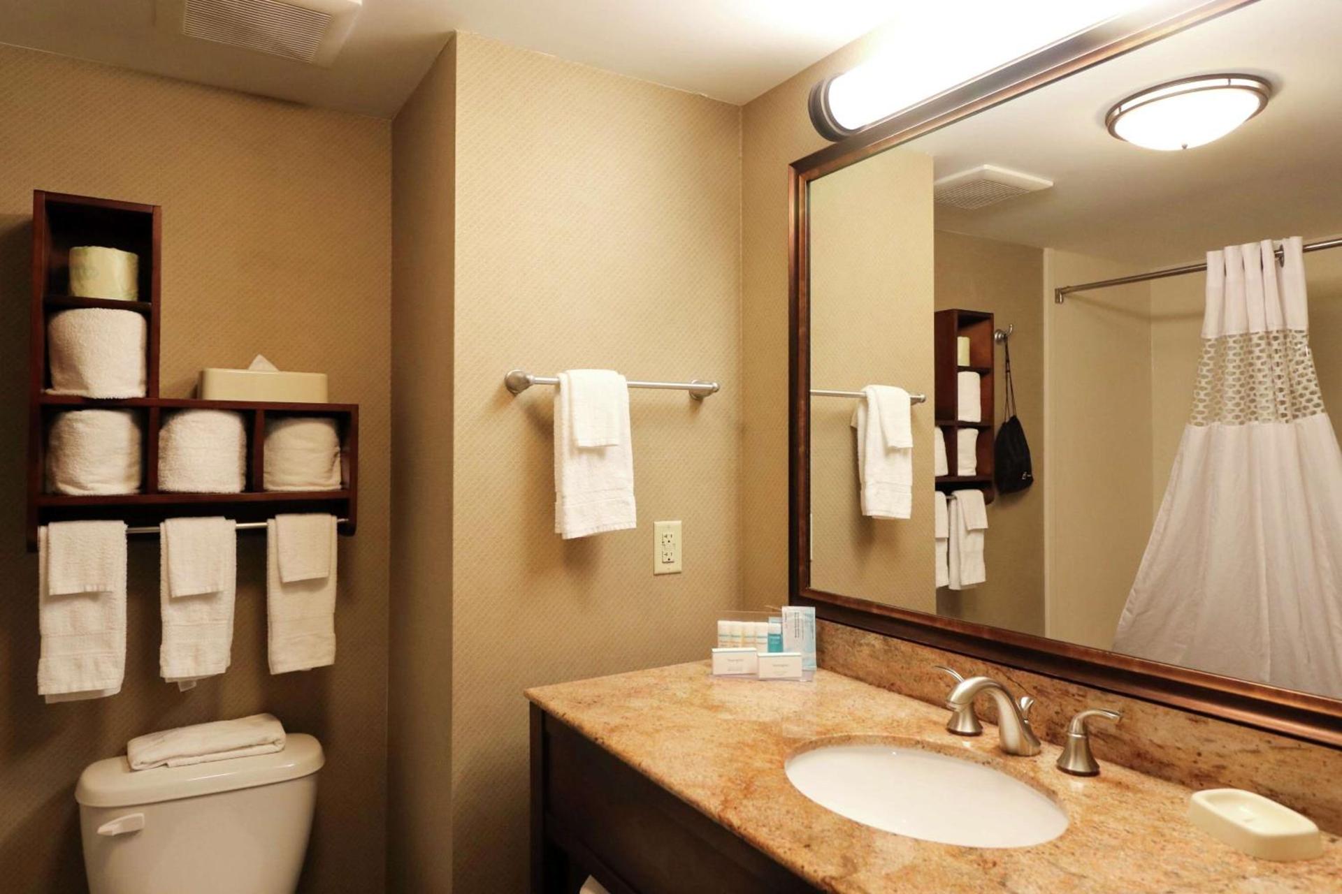 Hampton Inn Columbus-South photo 14