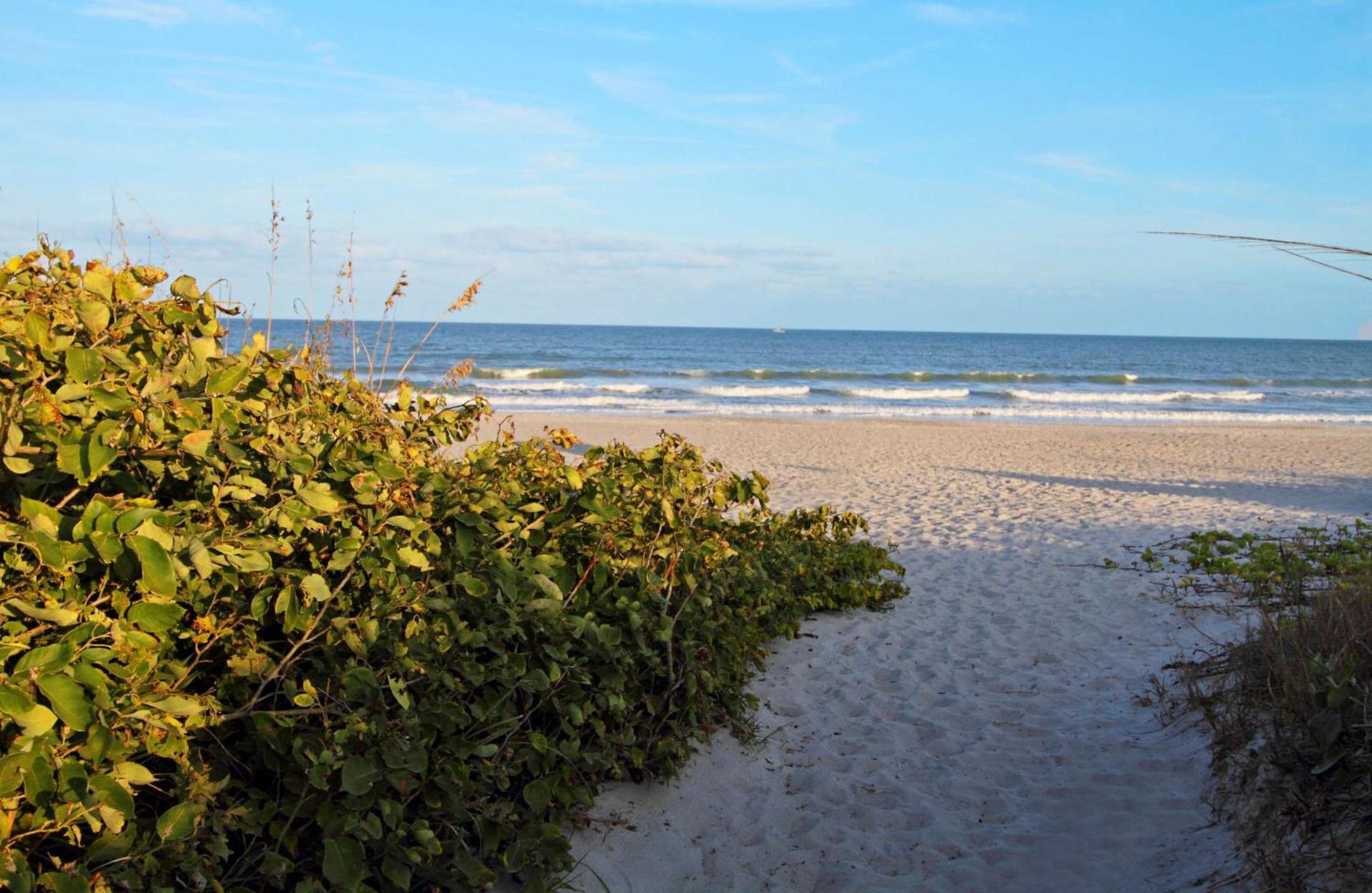 Hampton Inn Cocoa Beach photo 4
