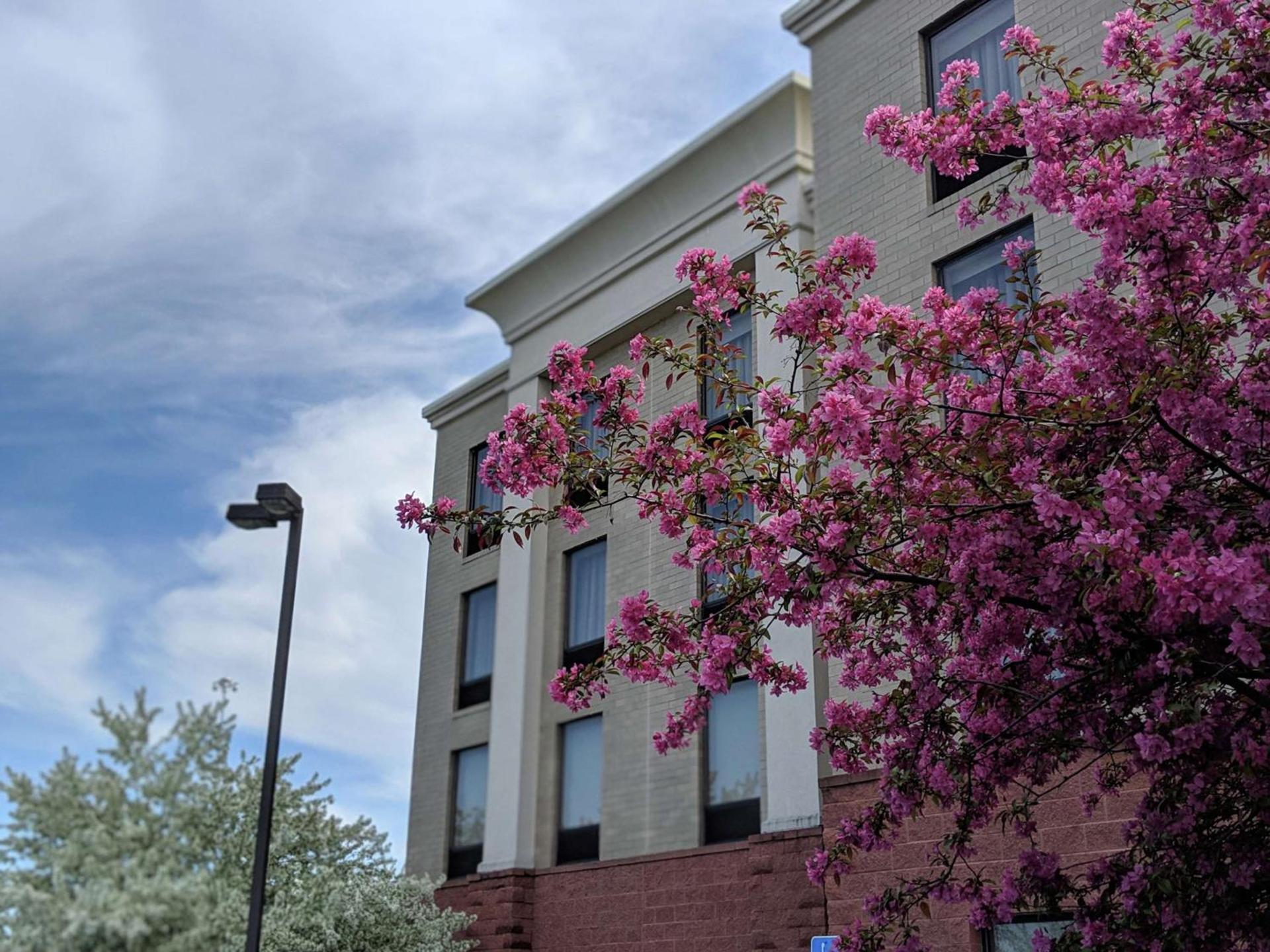 Hampton Inn & Suites Cincinnati-Union Centre photo 4