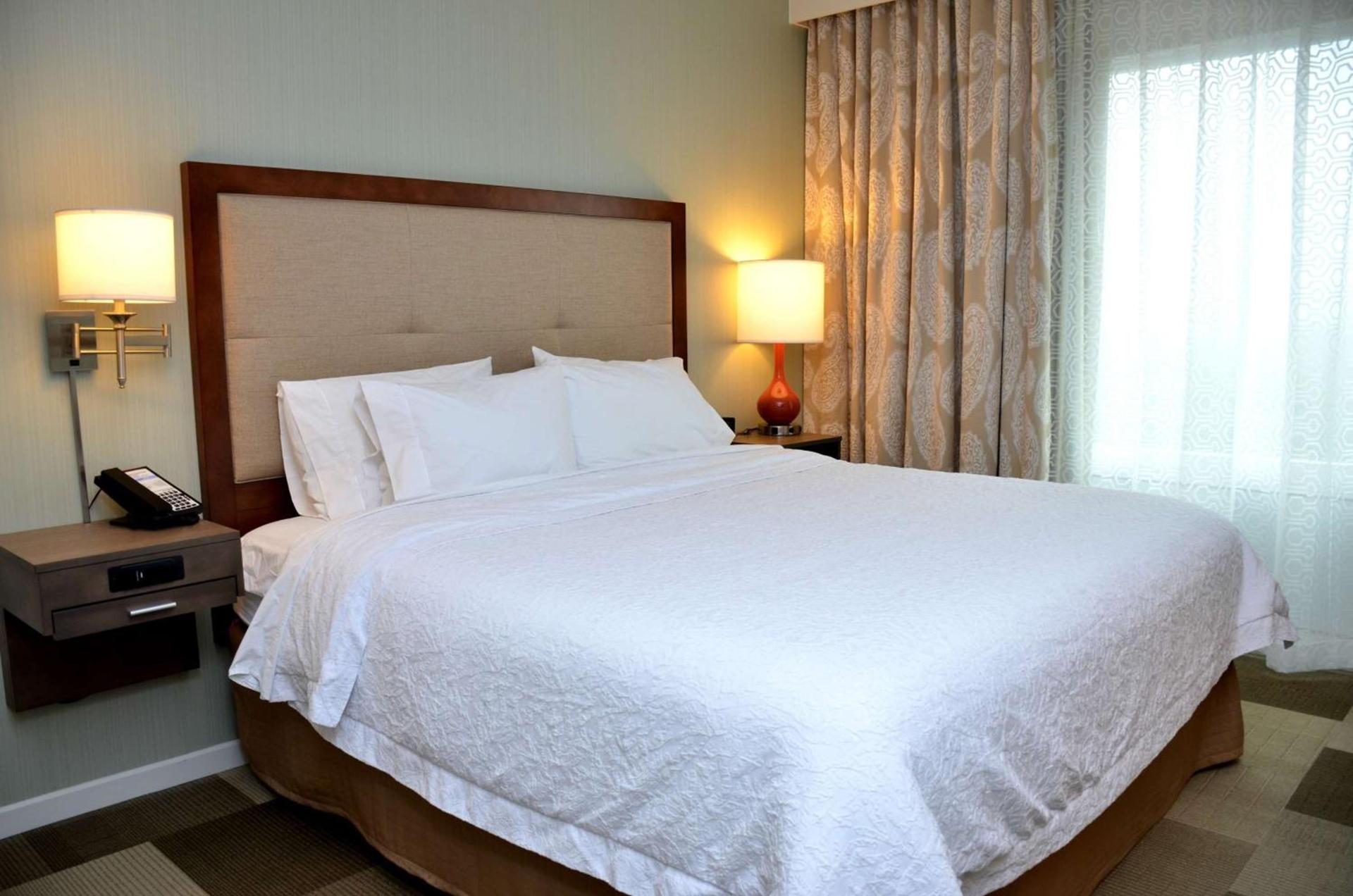 Hampton Inn & Suites - DeLand photo 18