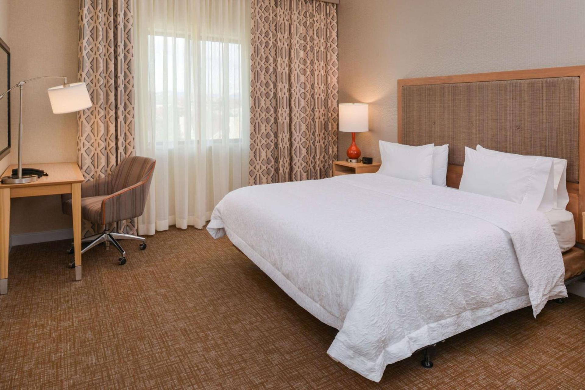 Hampton Inn & Suites Denver-Speer Boulevard photo 17