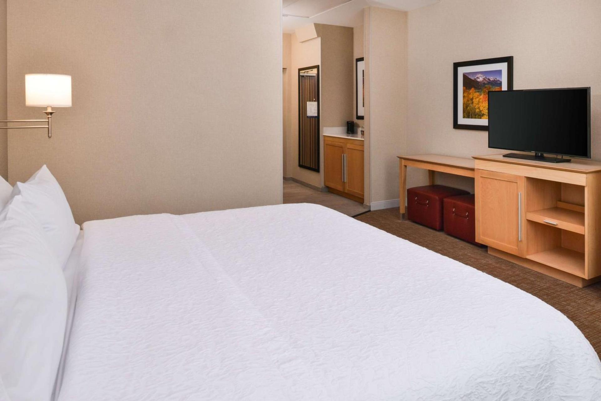 Hampton Inn & Suites Denver-Speer Boulevard photo 28