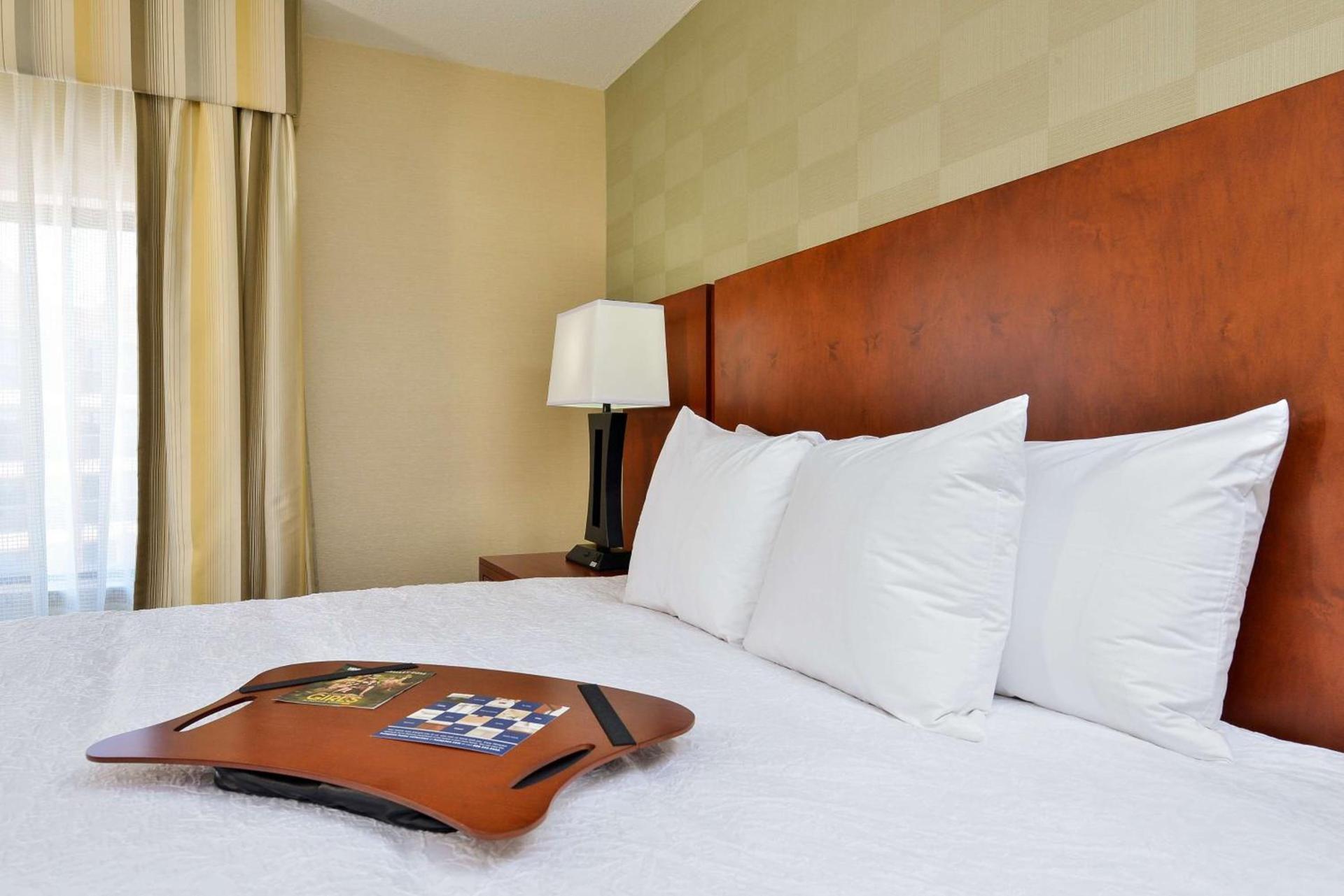 Hampton Inn Detroit/Auburn Hills South photo 8