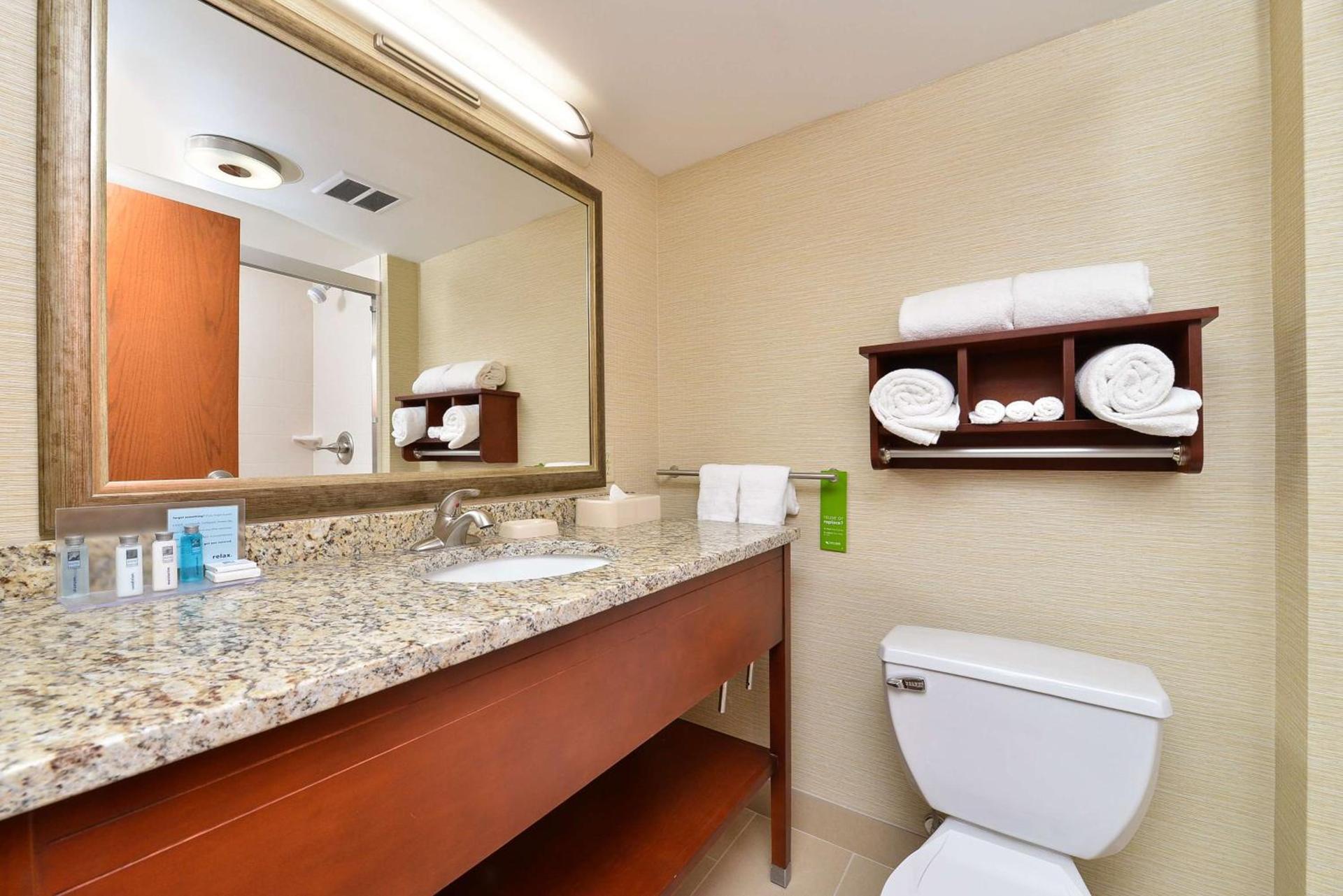 Hampton Inn Detroit/Auburn Hills South photo 10