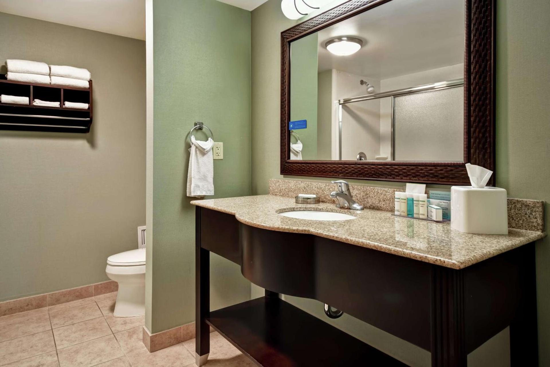 Hampton Inn & Suites Detroit-Canton photo 52