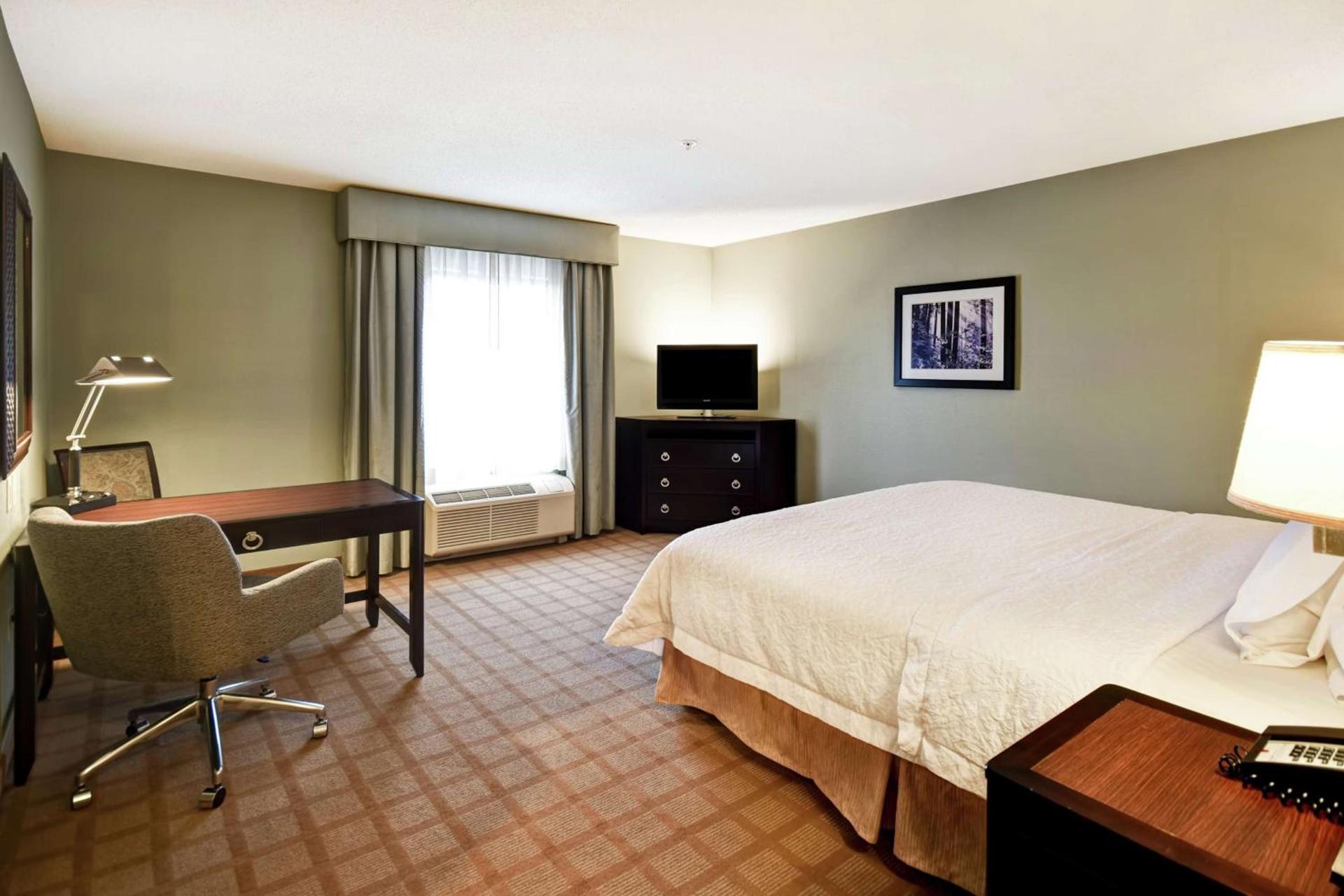 Hampton Inn & Suites Detroit-Canton photo 56
