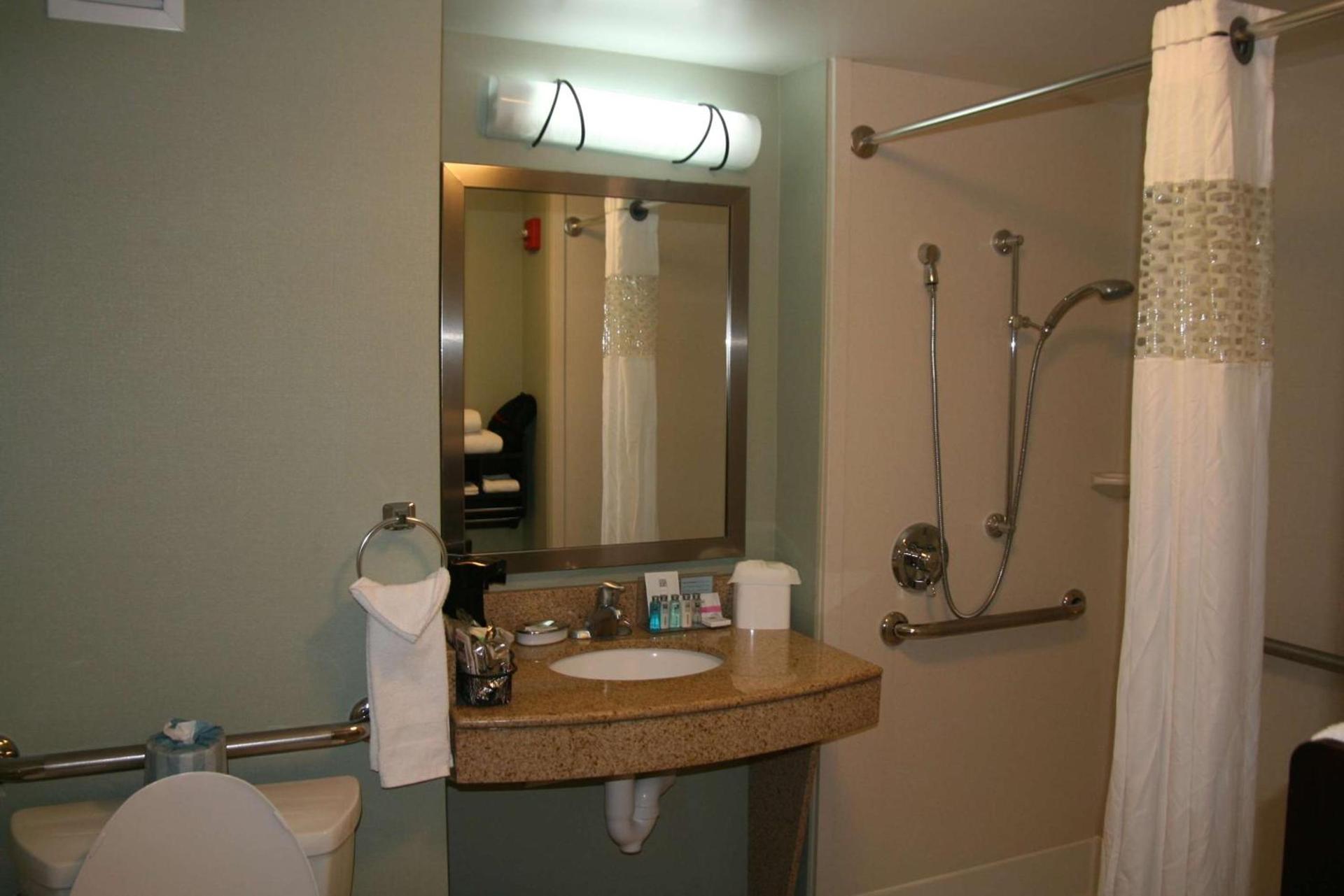 Hampton Inn & Suites Detroit-Canton photo 57