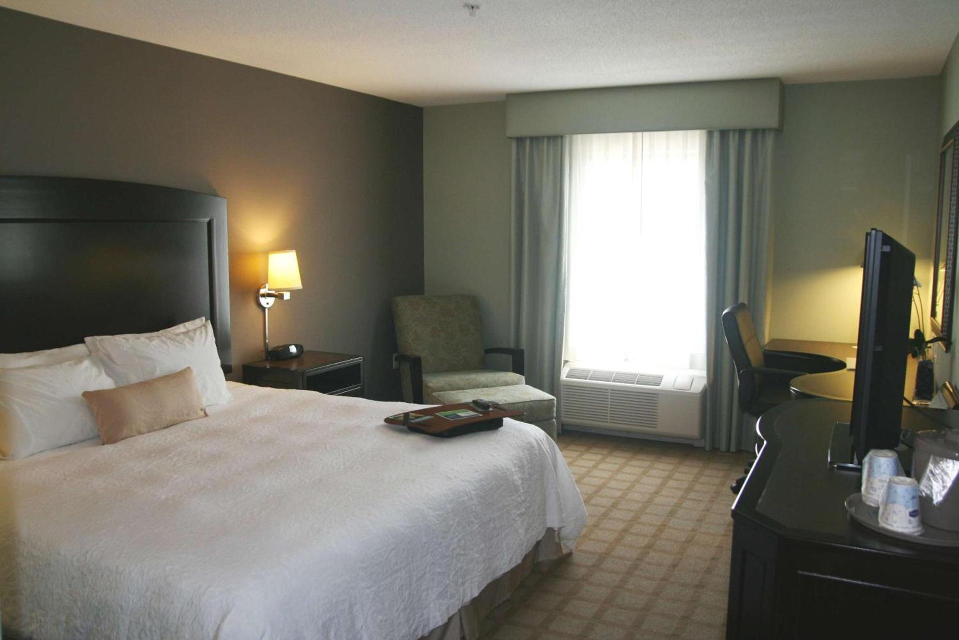 Hampton Inn & Suites Detroit-Canton photo 66