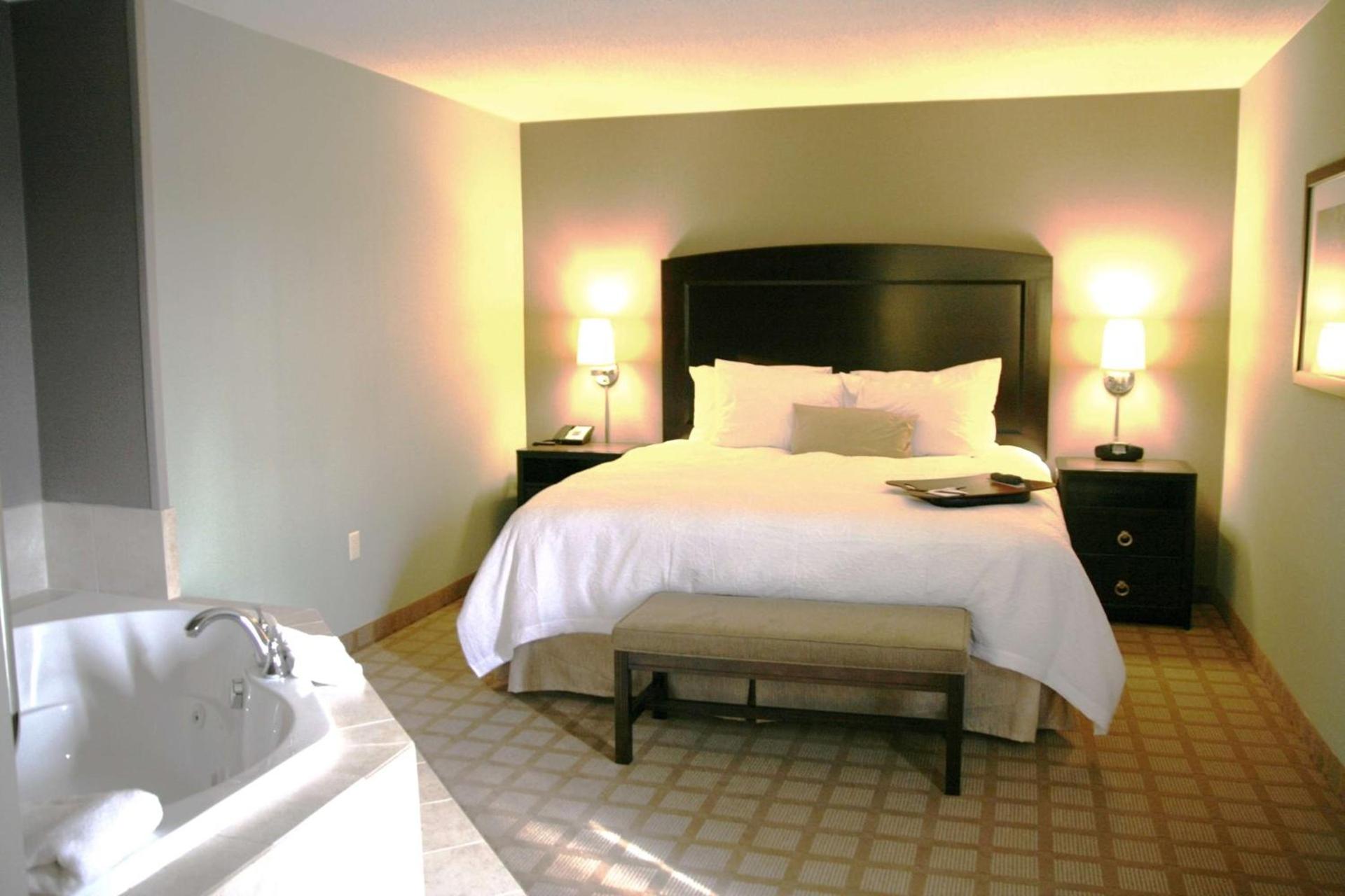 Hampton Inn & Suites Detroit-Canton photo 68