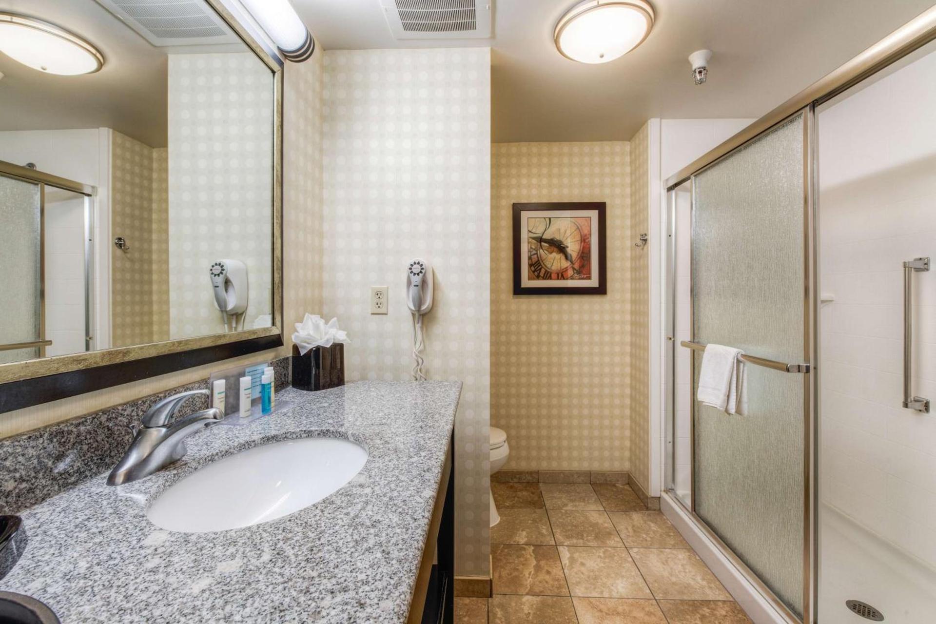 Hampton Inn & Suites Detroit/Airport Romulus photo 20