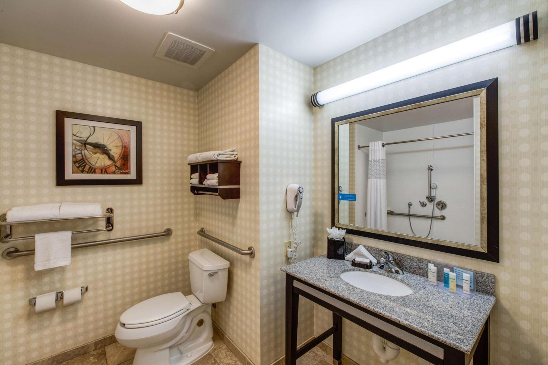 Hampton Inn & Suites Detroit/Airport Romulus photo 25