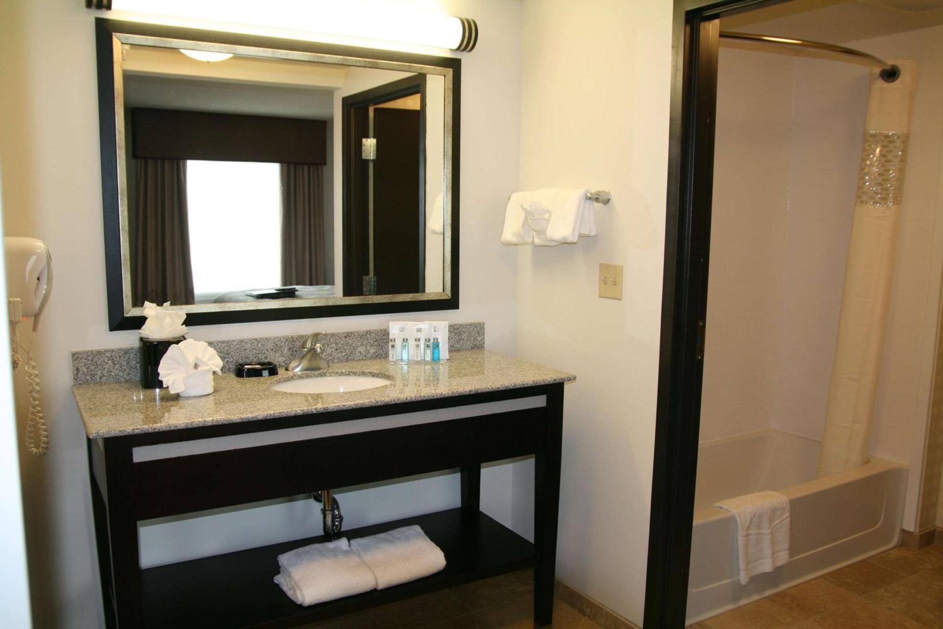 Hampton Inn & Suites Detroit/Airport Romulus photo 44