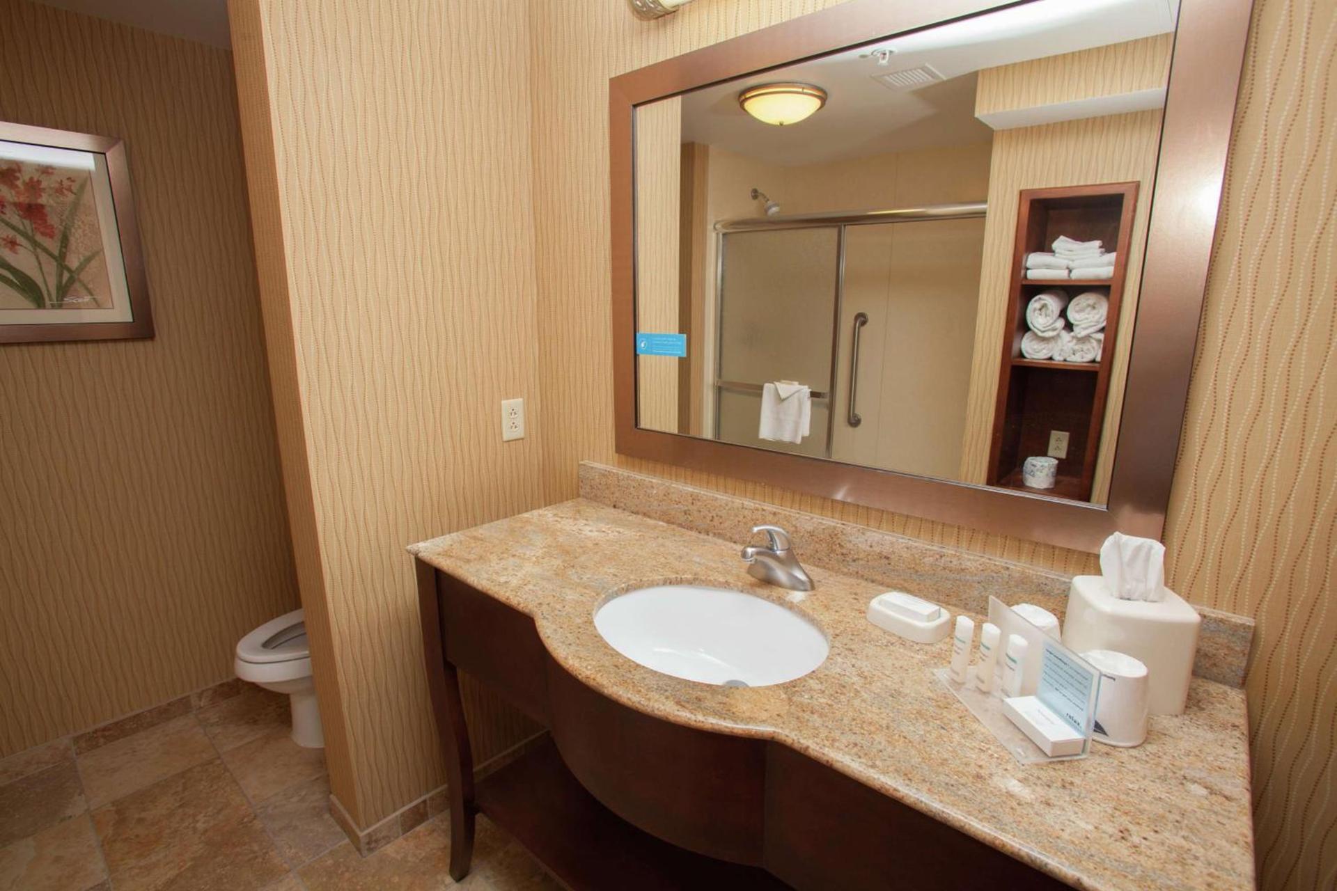 Hampton Inn Elmira/Horseheads photo 27