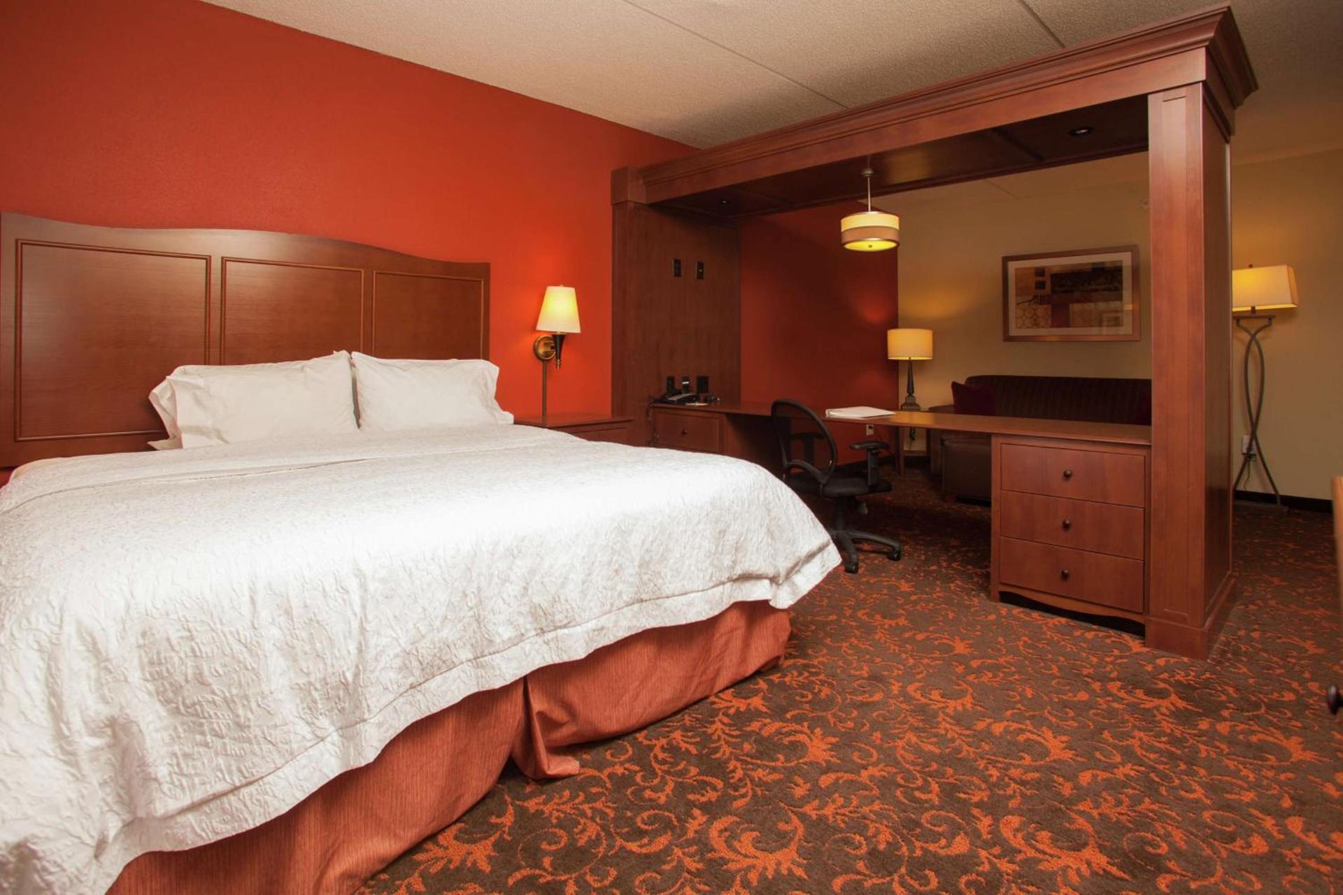 Hampton Inn Elmira/Horseheads photo 41