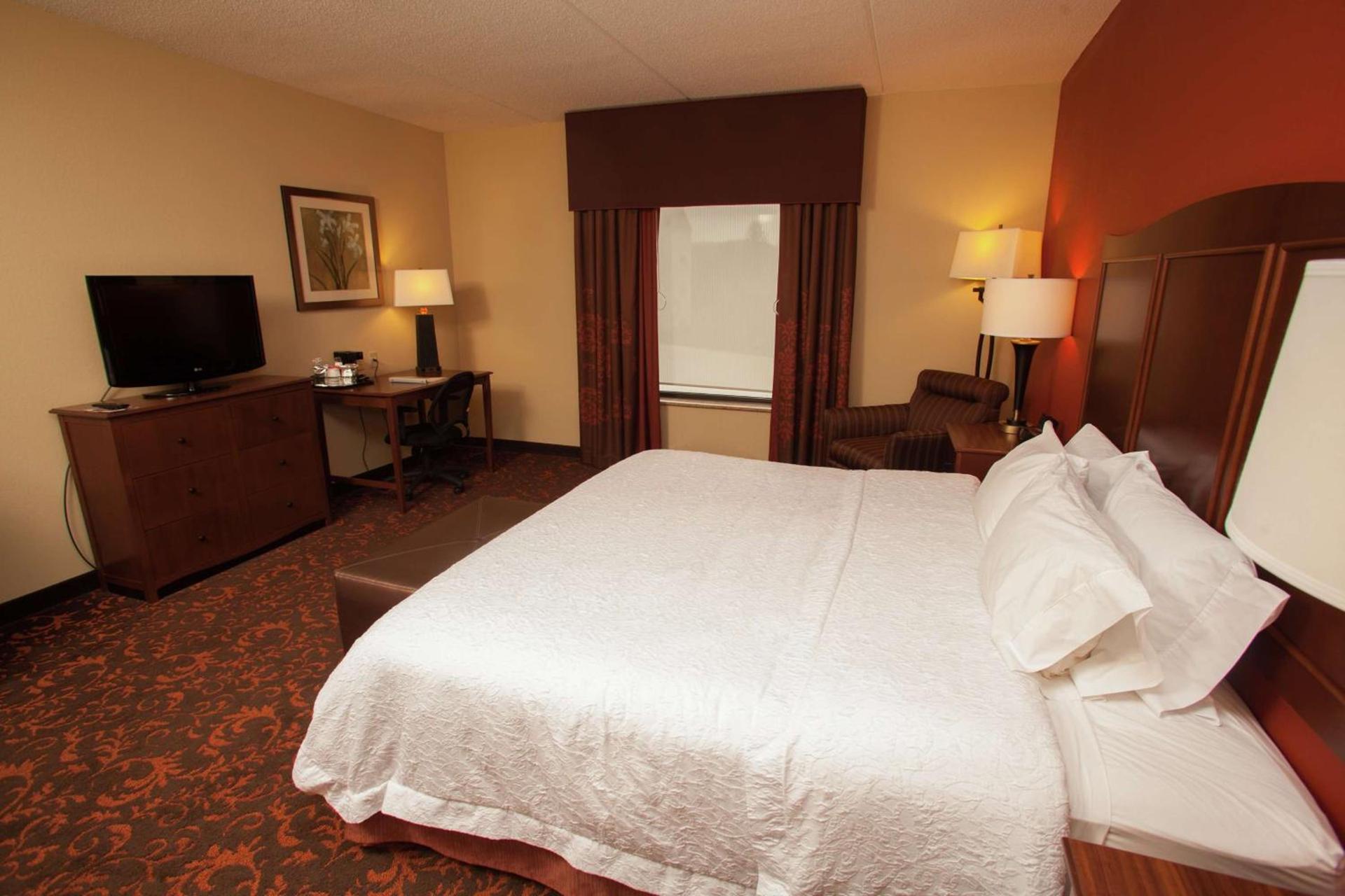 Hampton Inn Elmira/Horseheads photo 42