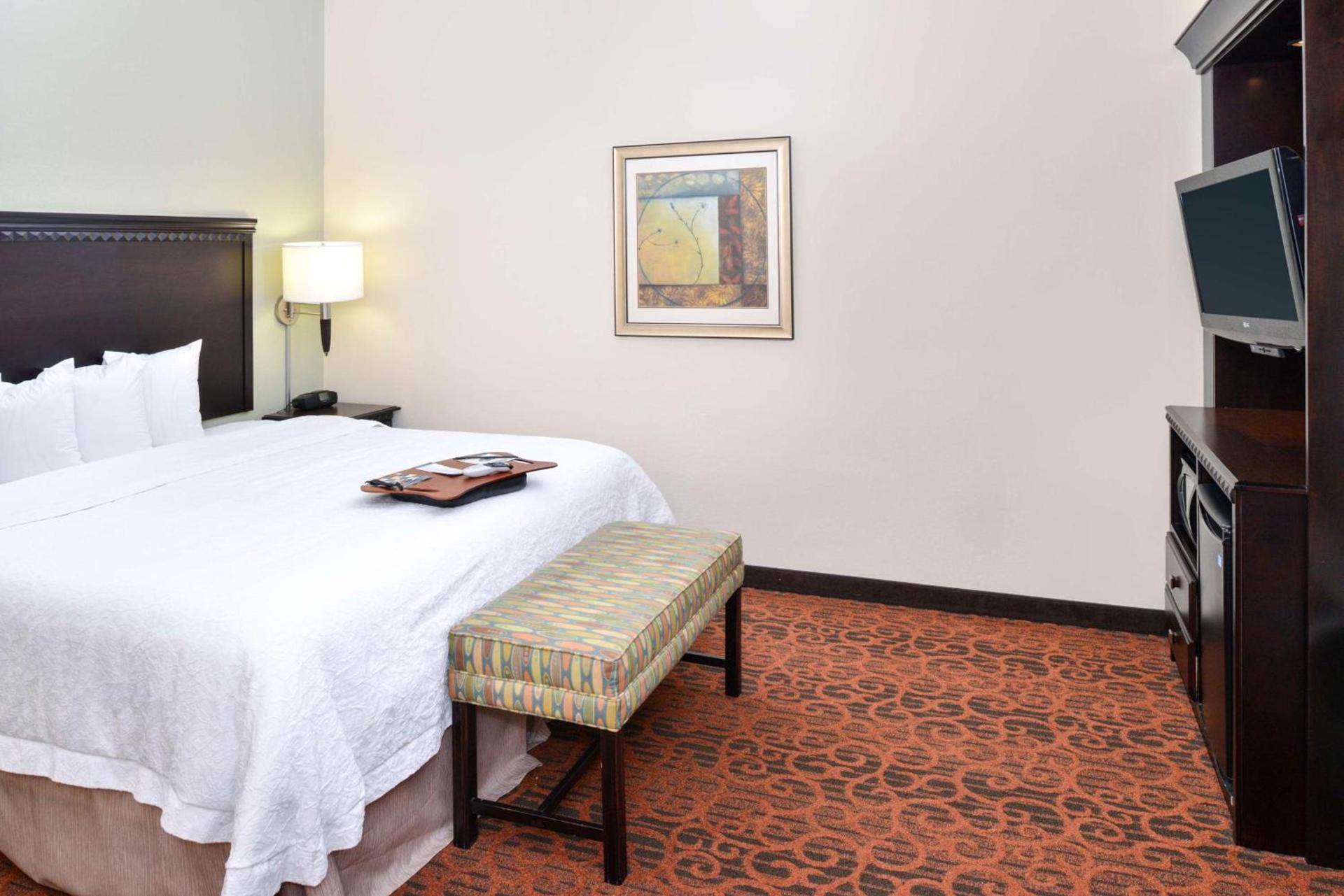 Hampton Inn Pecos photo 13